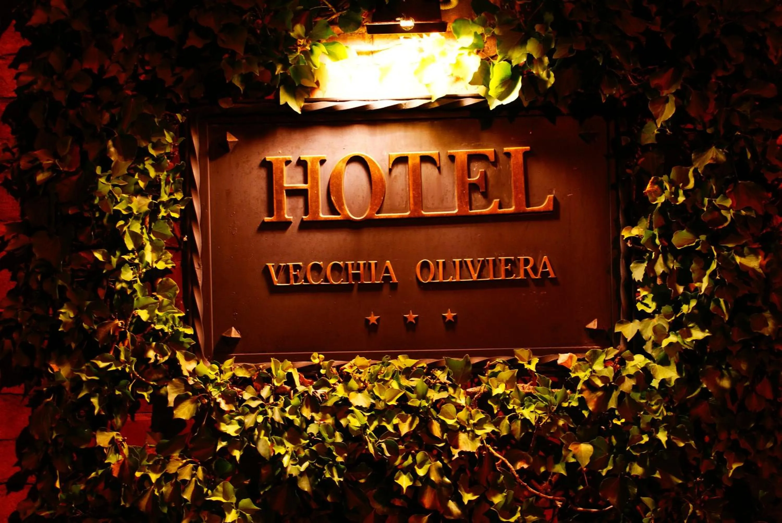 Property logo or sign in Hotel Vecchia Oliviera