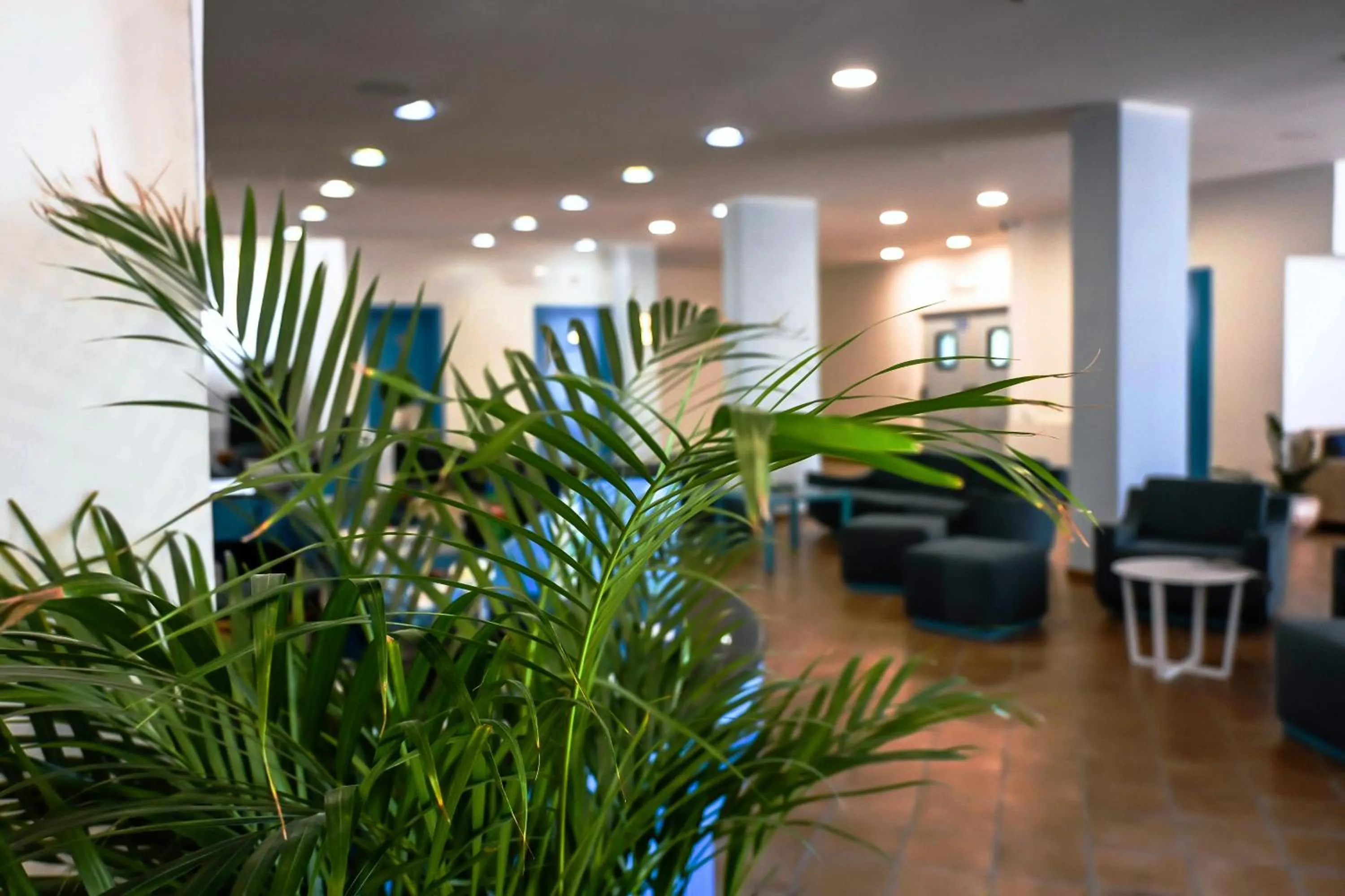 Seating area in Hotel Baia Turchese