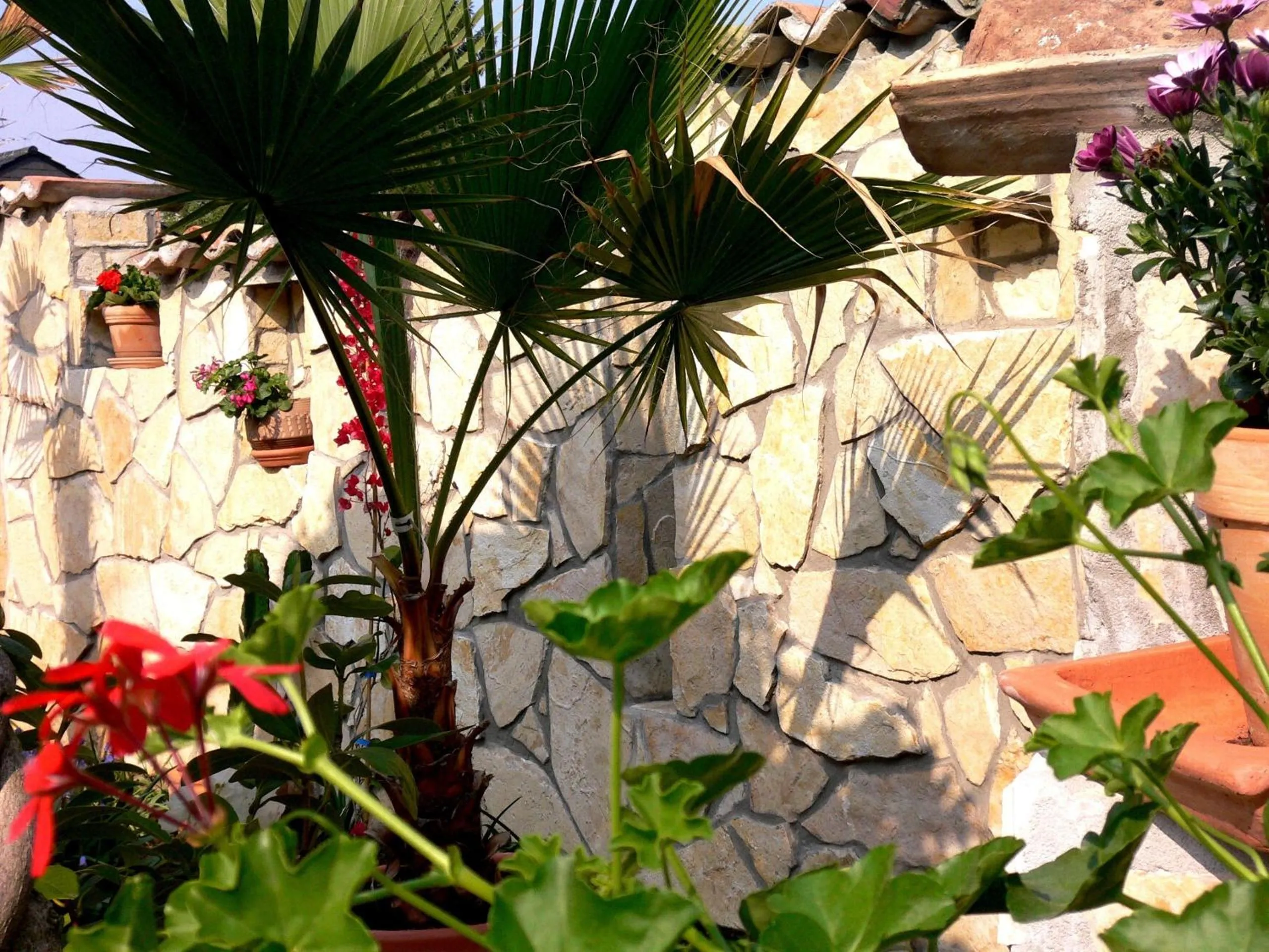 Facade/entrance in Apartmenthaus Casa Palma