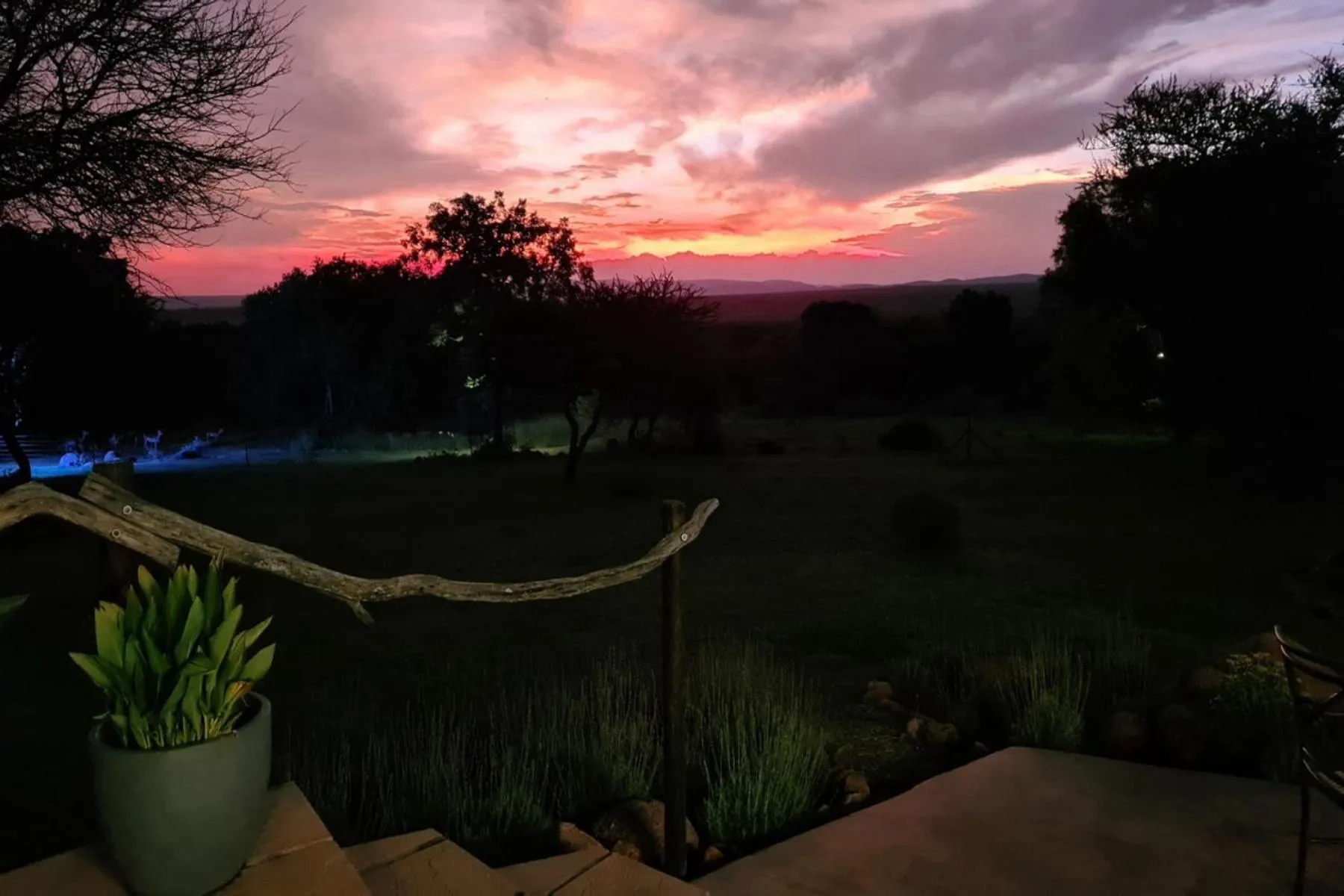 Natural landscape in Itaga Luxury Private Game Lodge