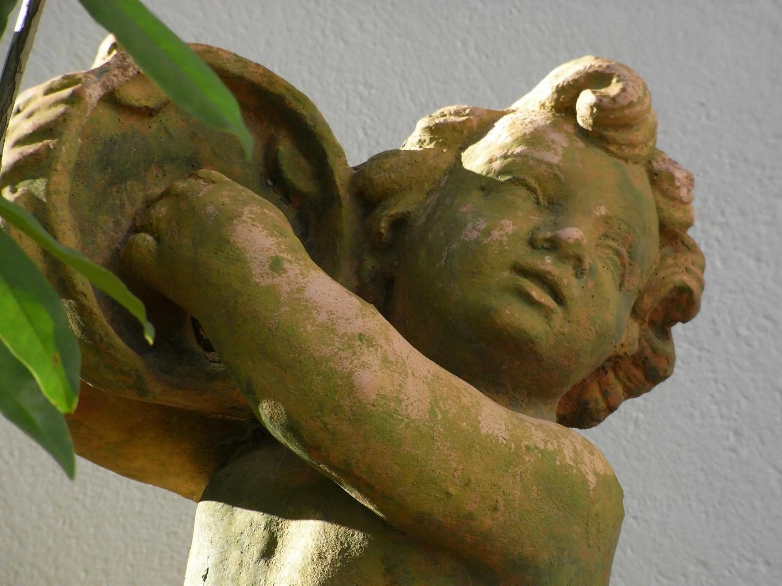 Garden in La Villa du Parc