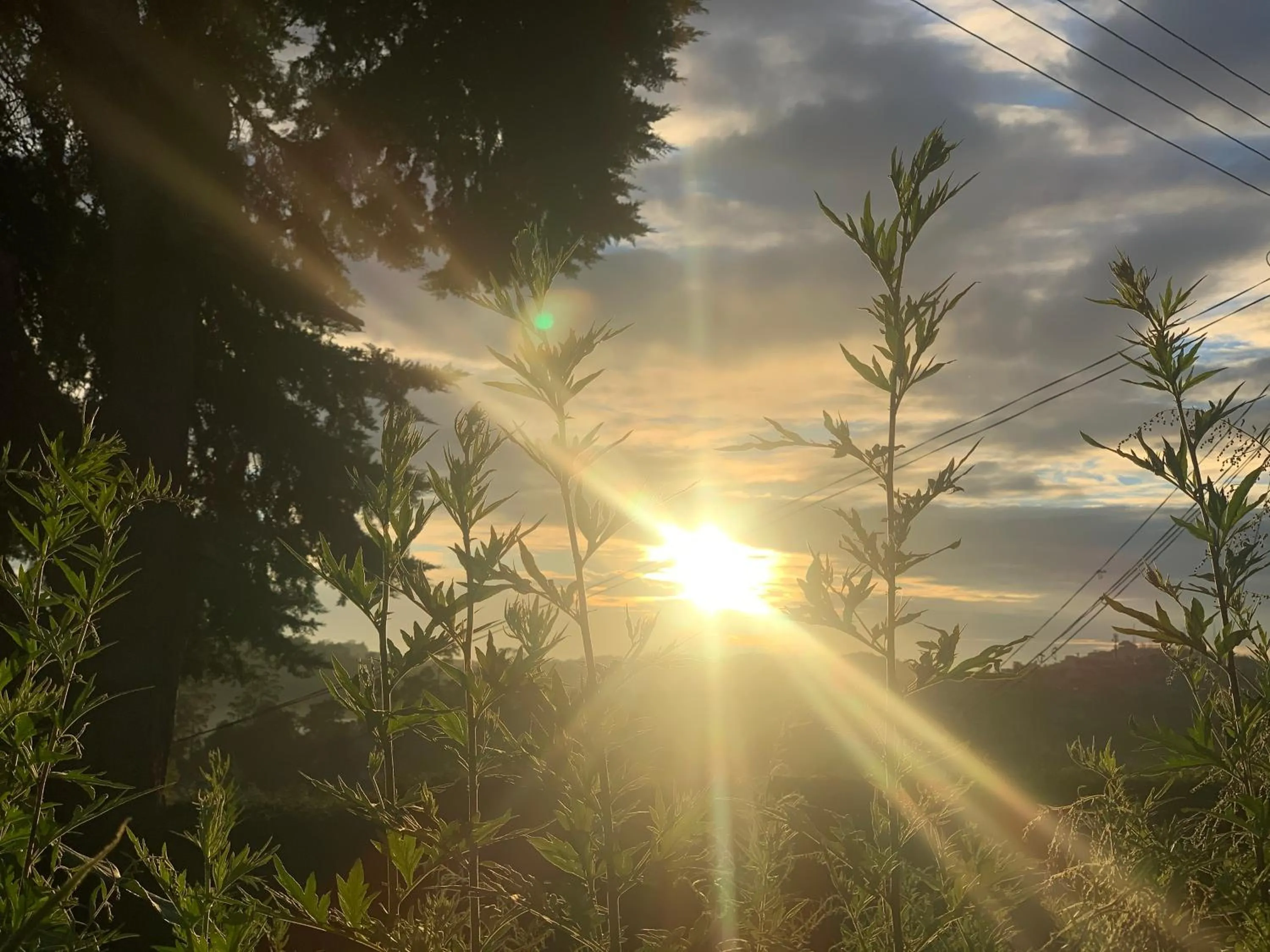 Sunrise in Heaven Seven Nuwara Eliya