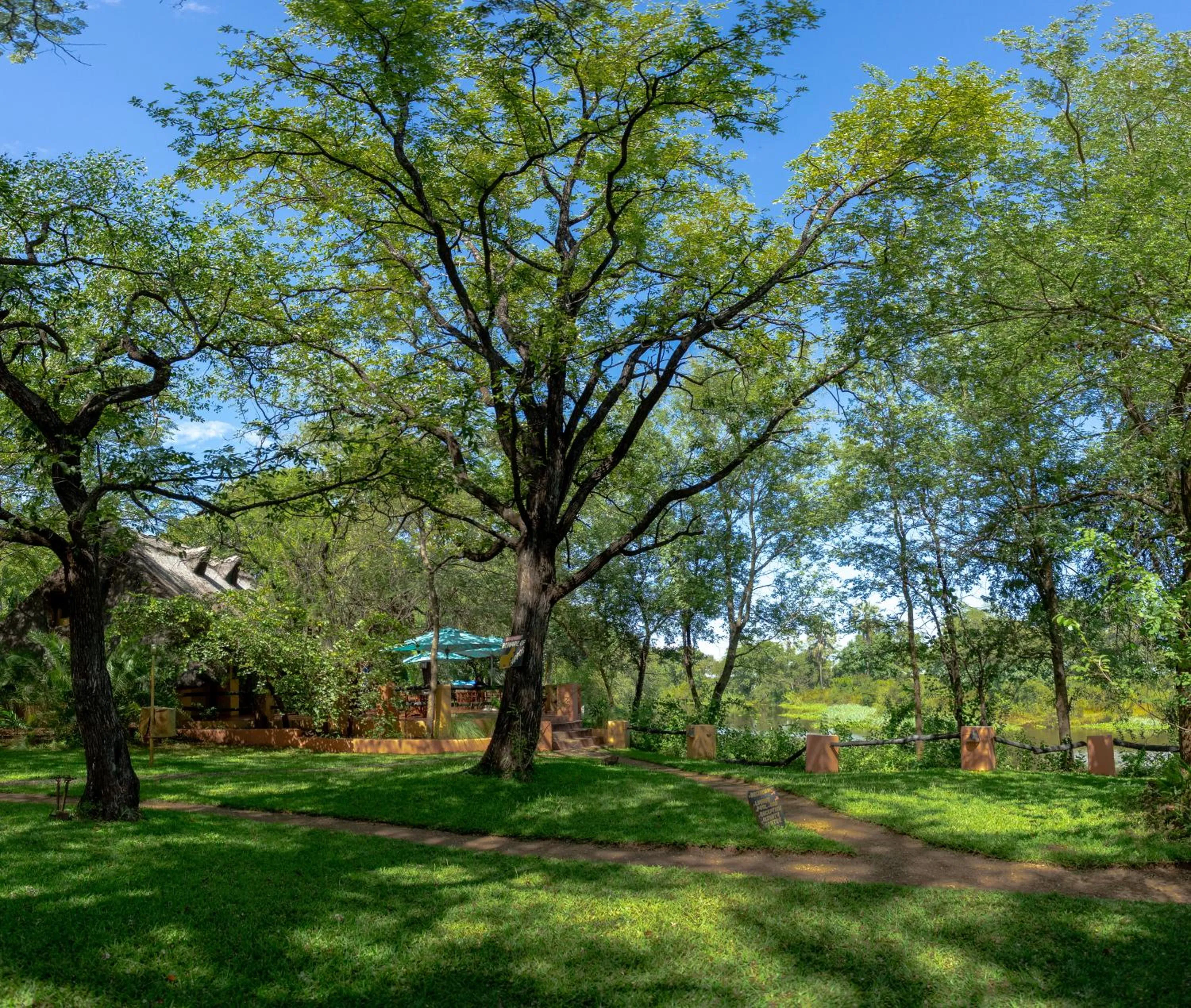 Garden in Maramba River Lodge