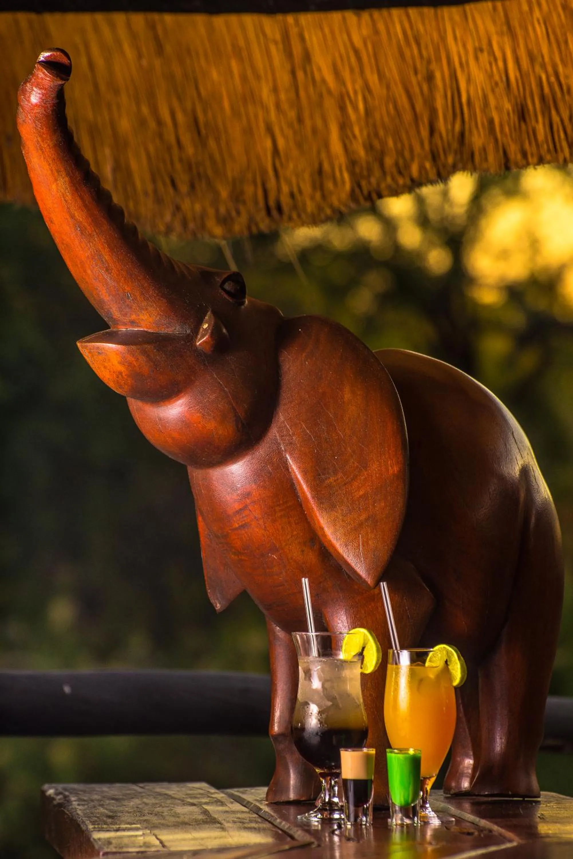 Lounge or bar in Maramba River Lodge
