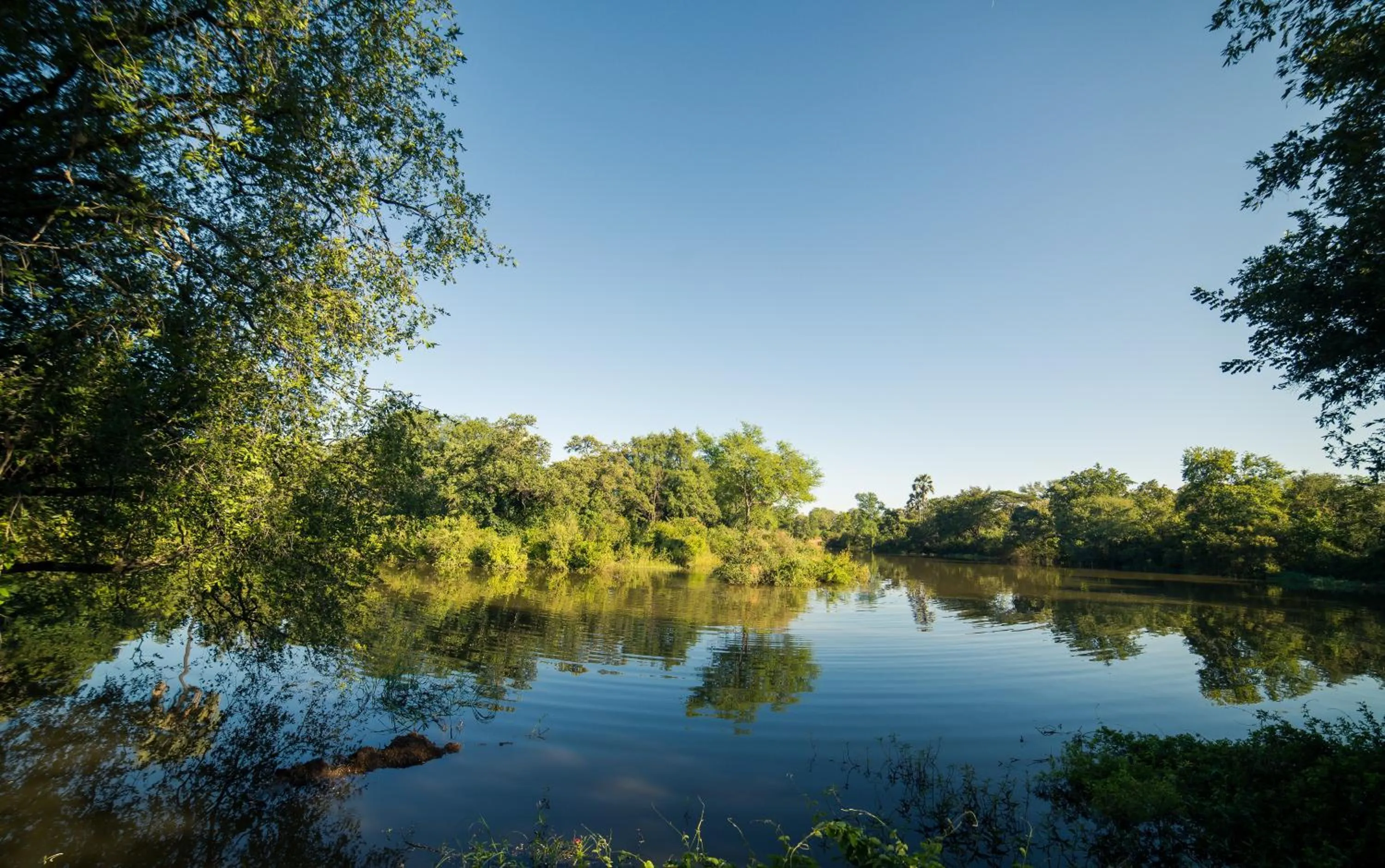 Natural landscape in Maramba River Lodge