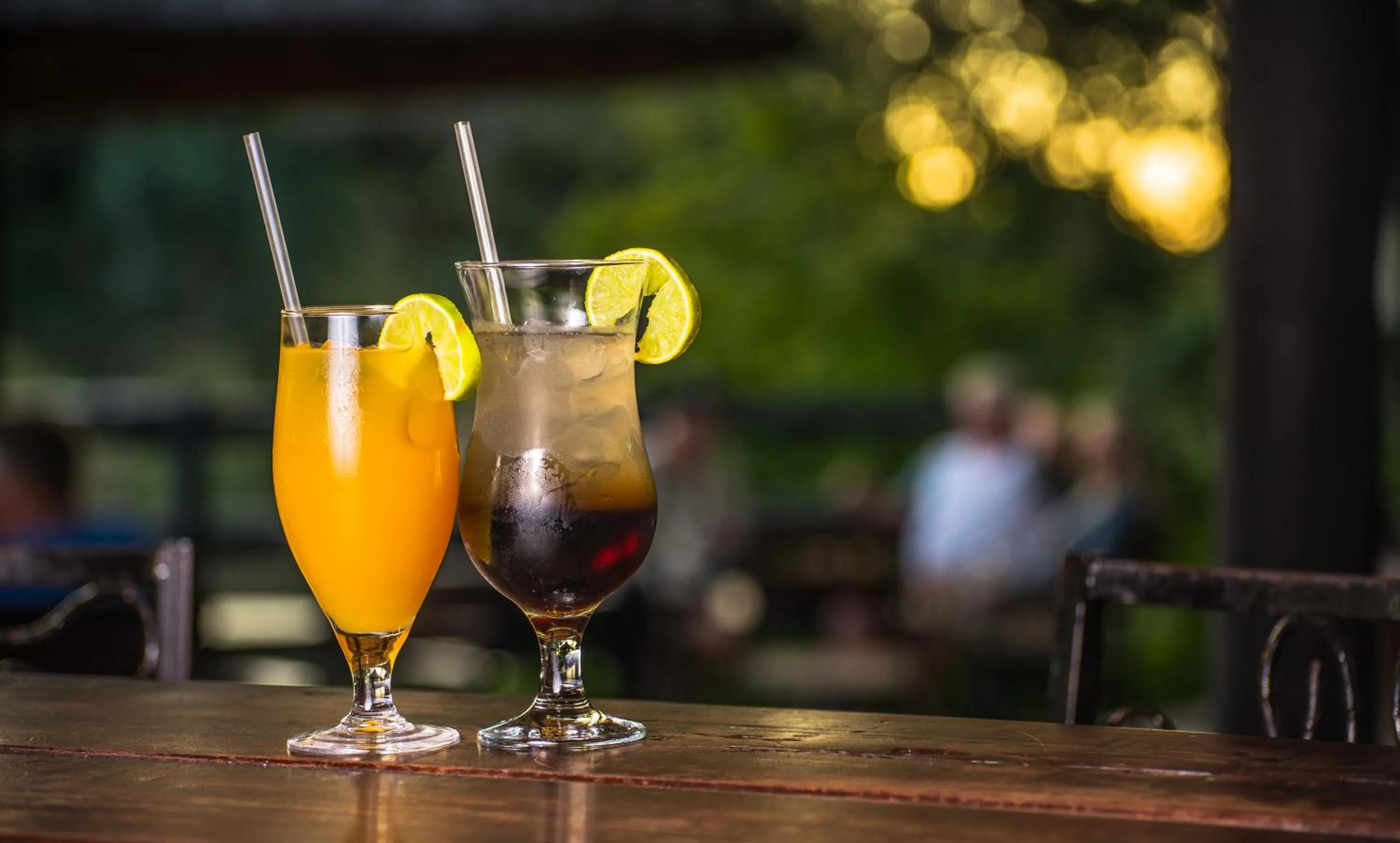 Lounge or bar in Maramba River Lodge
