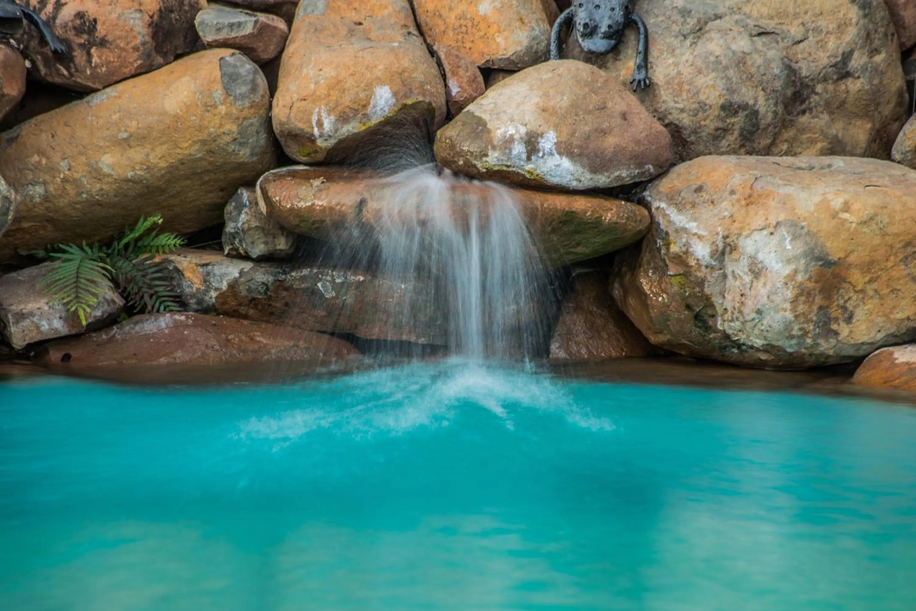 Swimming pool in Maramba River Lodge
