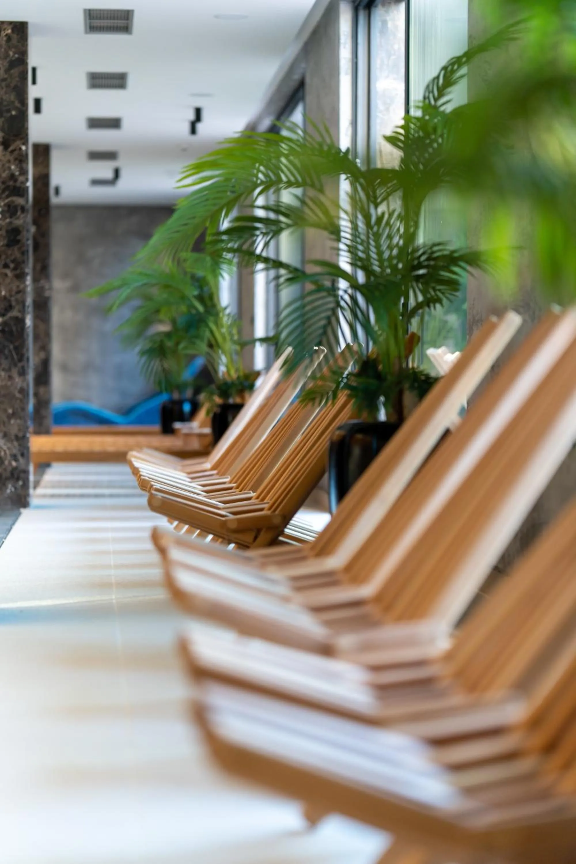 sunbed in Queen of Zlatibor