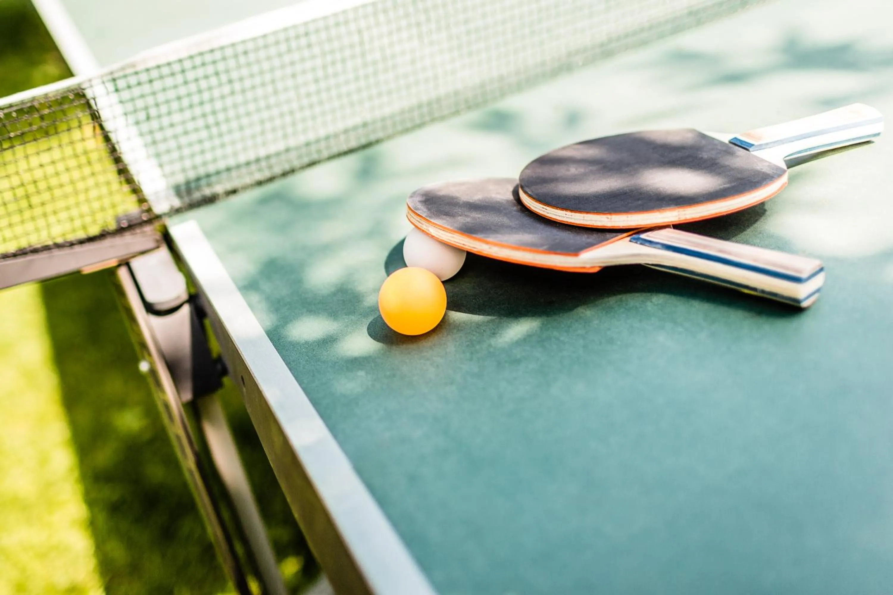 Garden in Garni Hotel Am Meilenstein