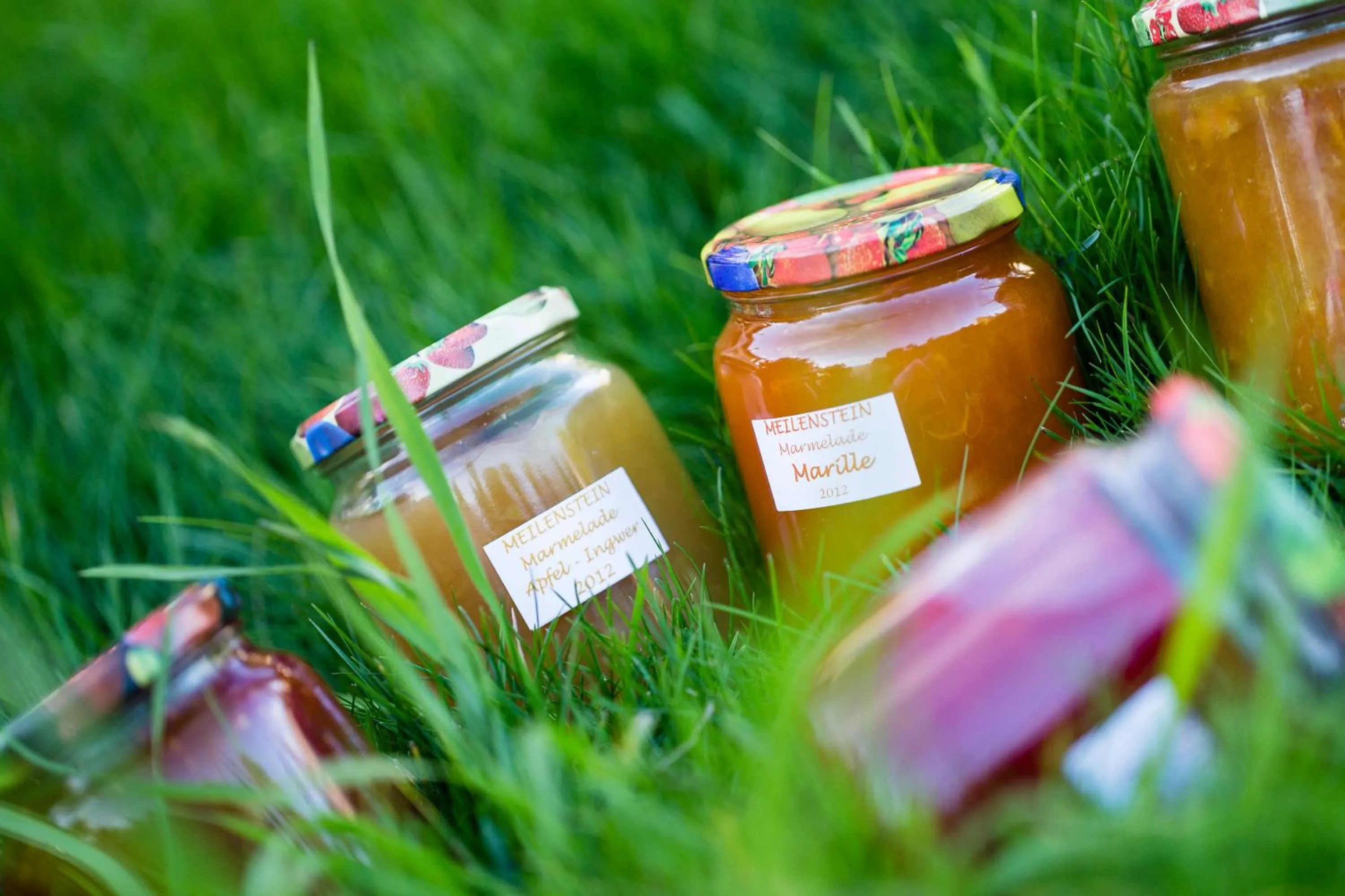 Other in Garni Hotel Am Meilenstein