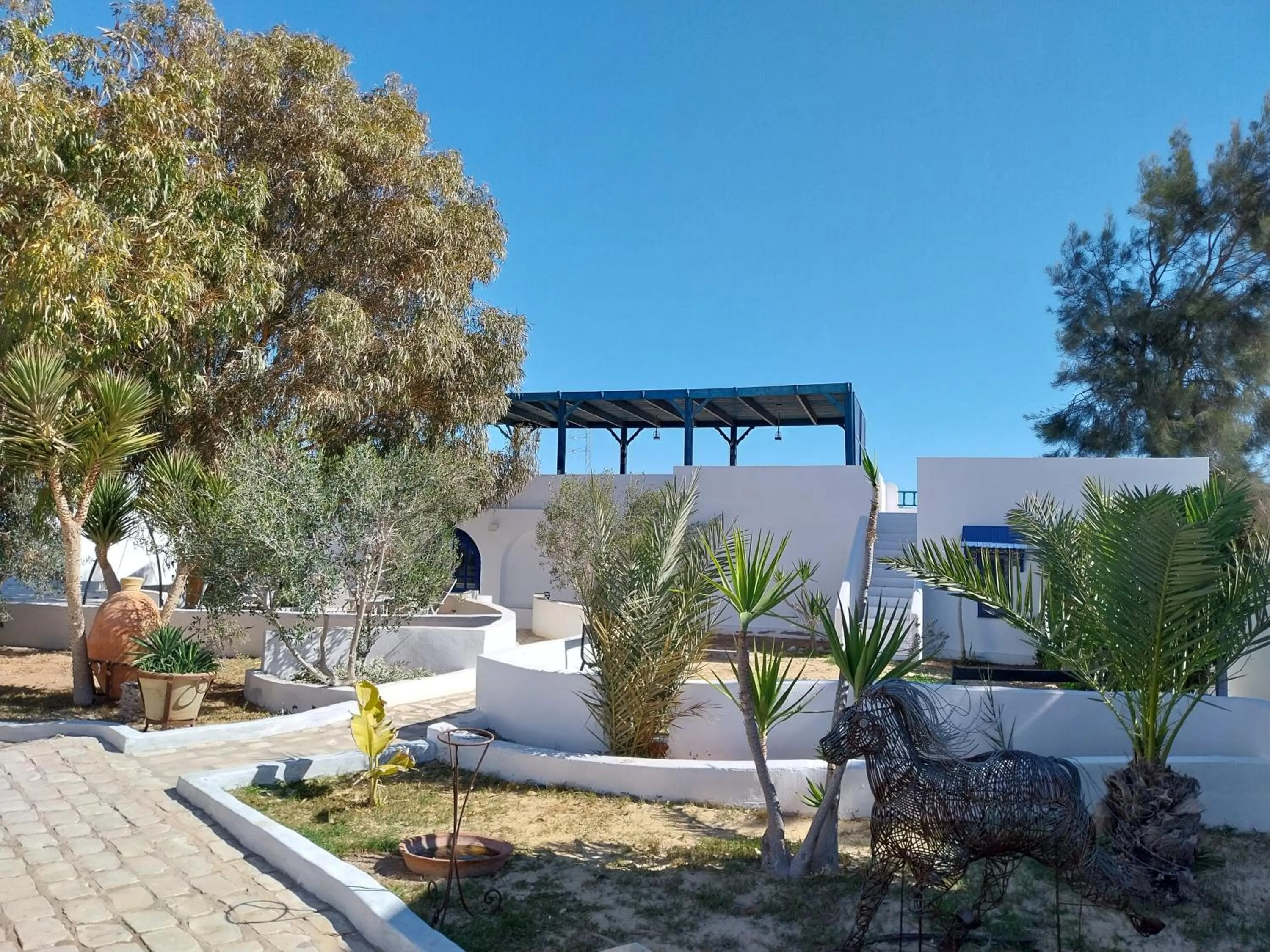 Garden in Tamalou Djerba