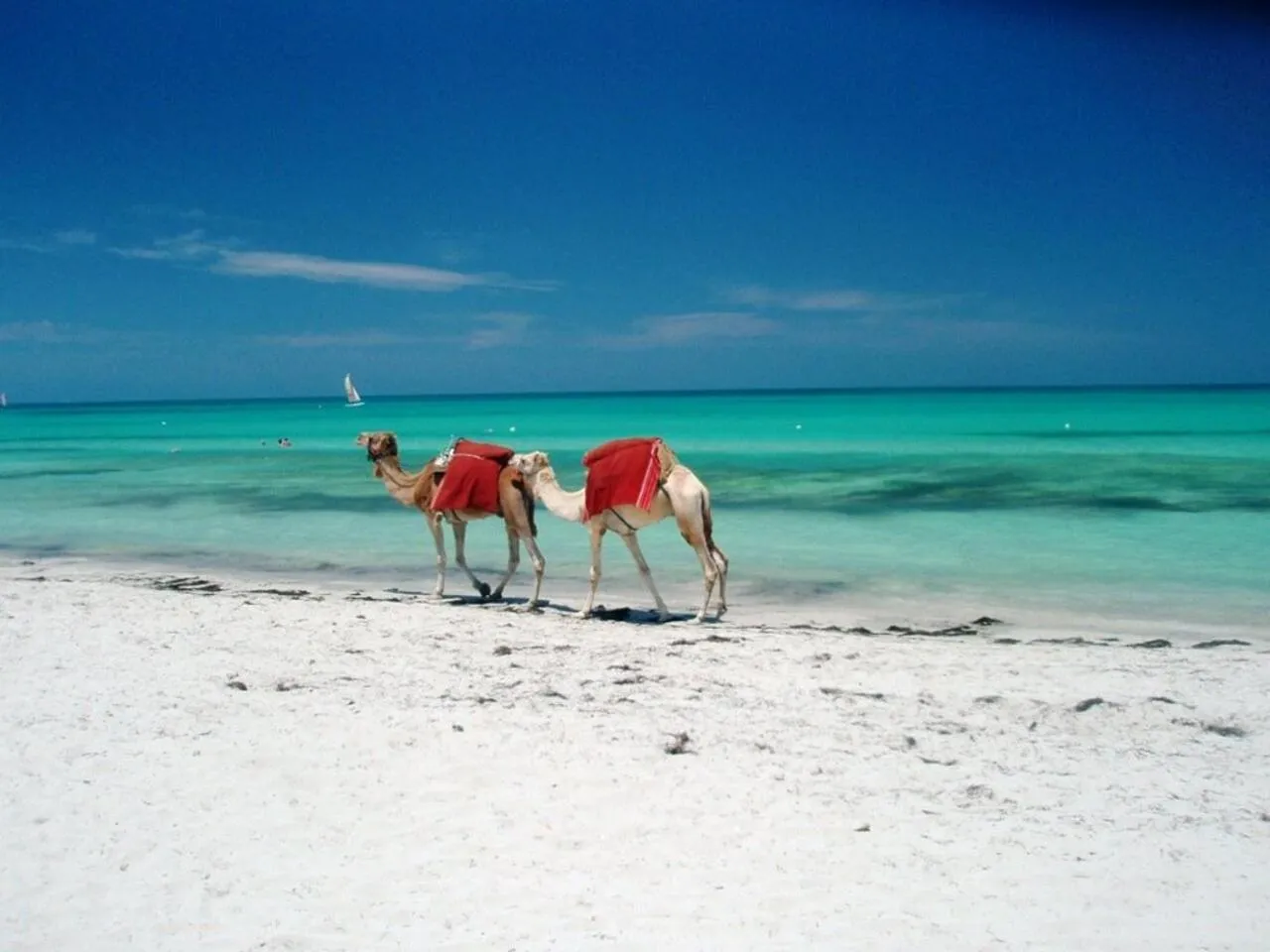 Beach in Tamalou Djerba