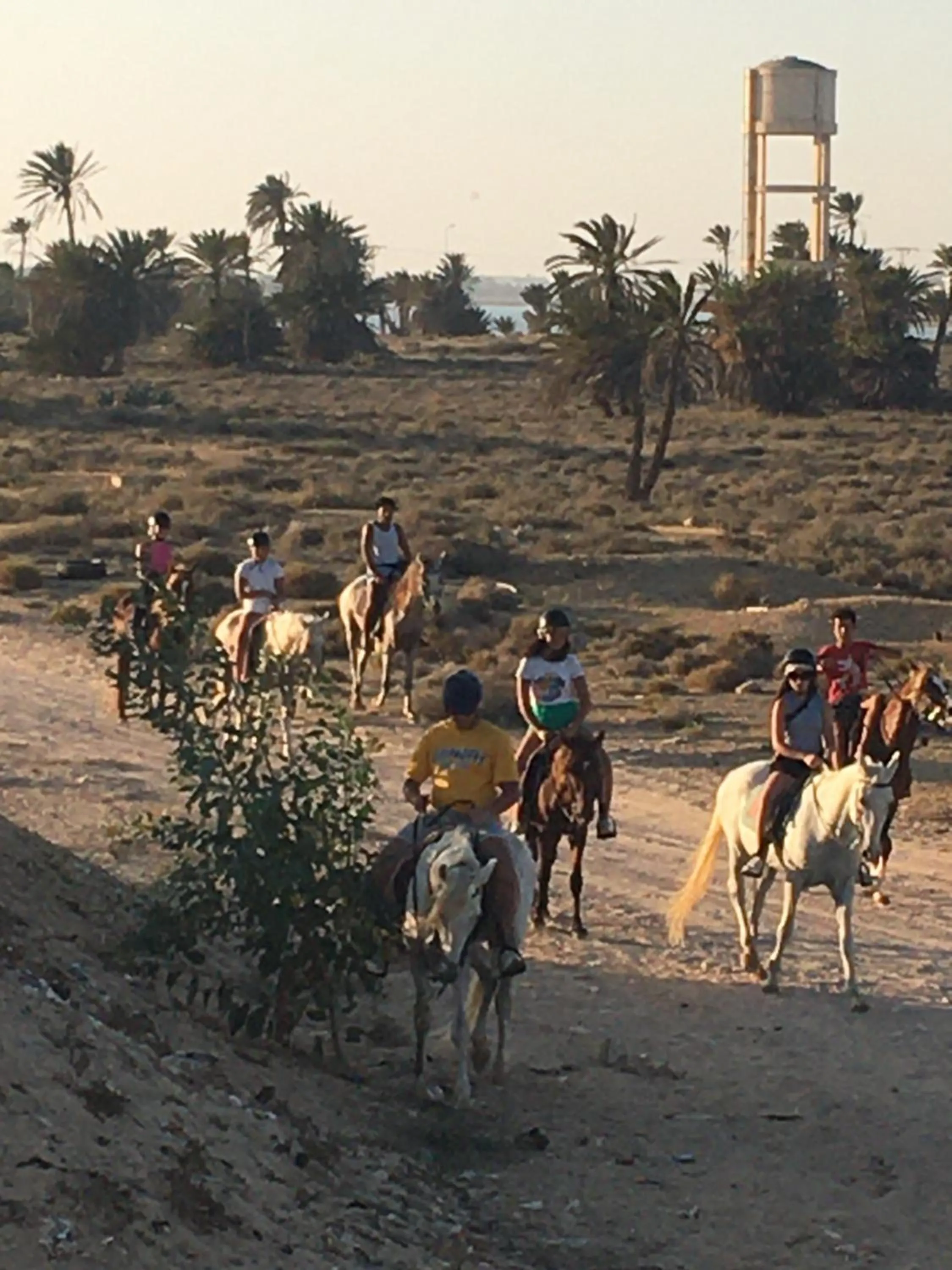 Tamalou Djerba