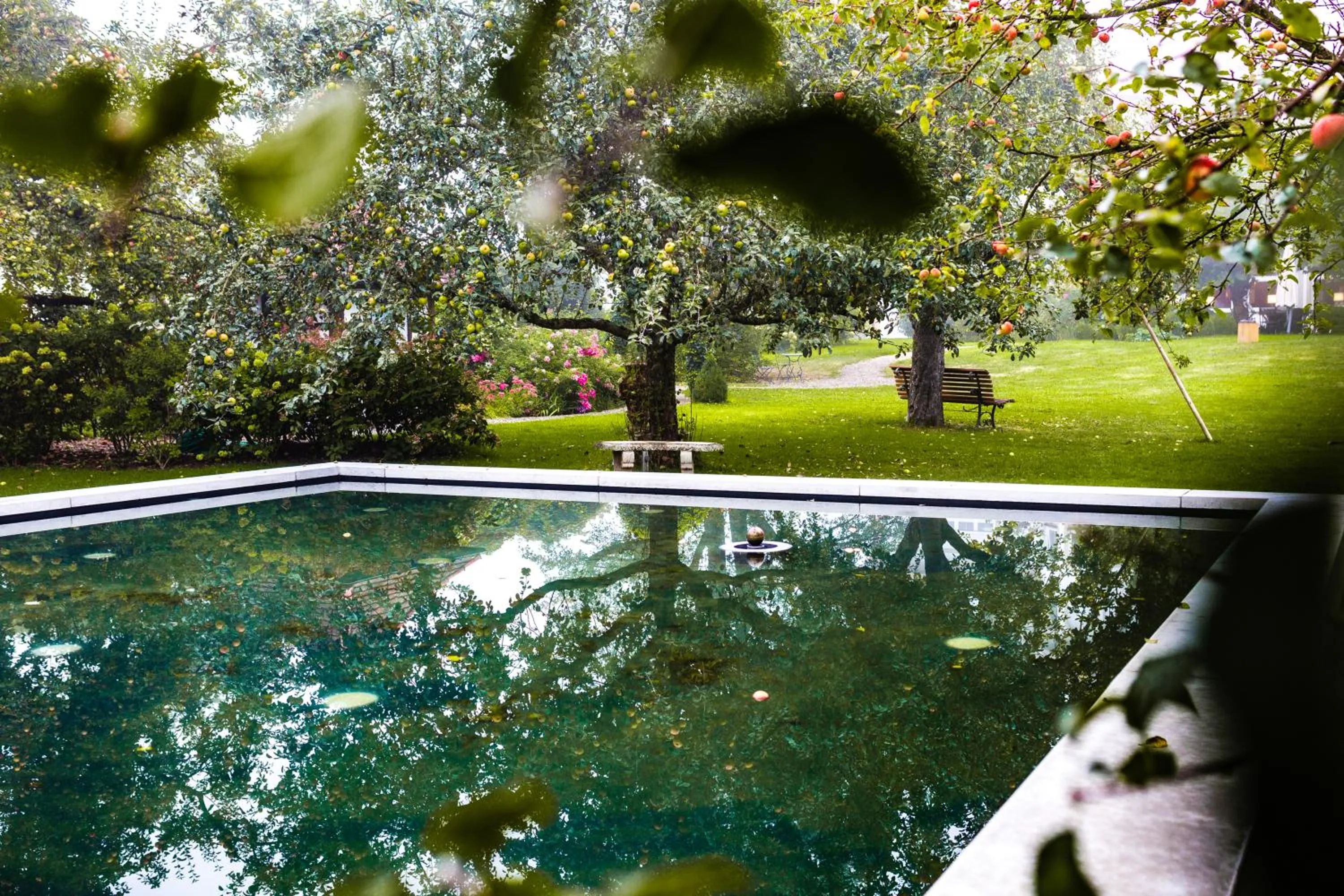 Garden view in Reck's Hotel-Restaurant