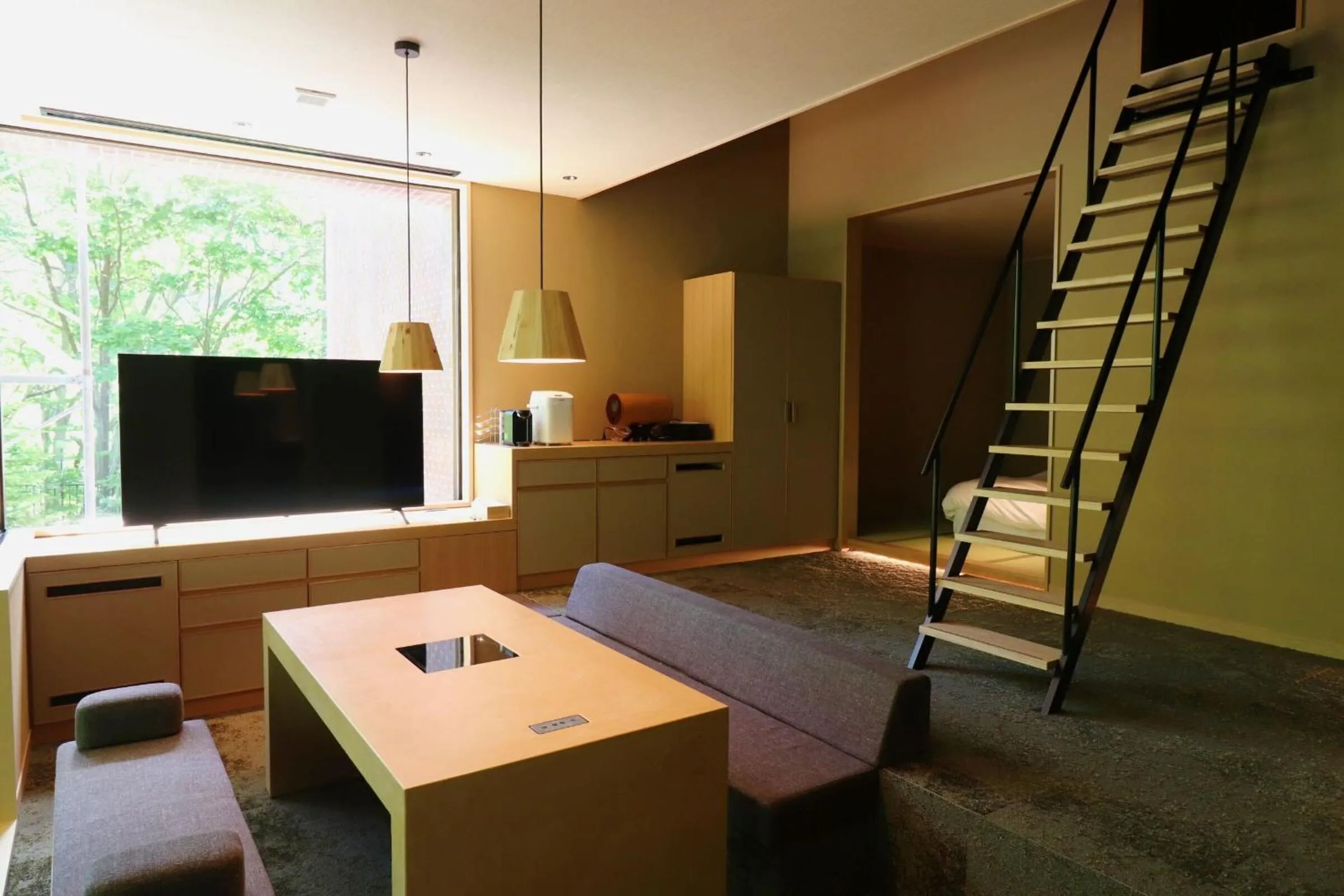 TV and multimedia in Suigan