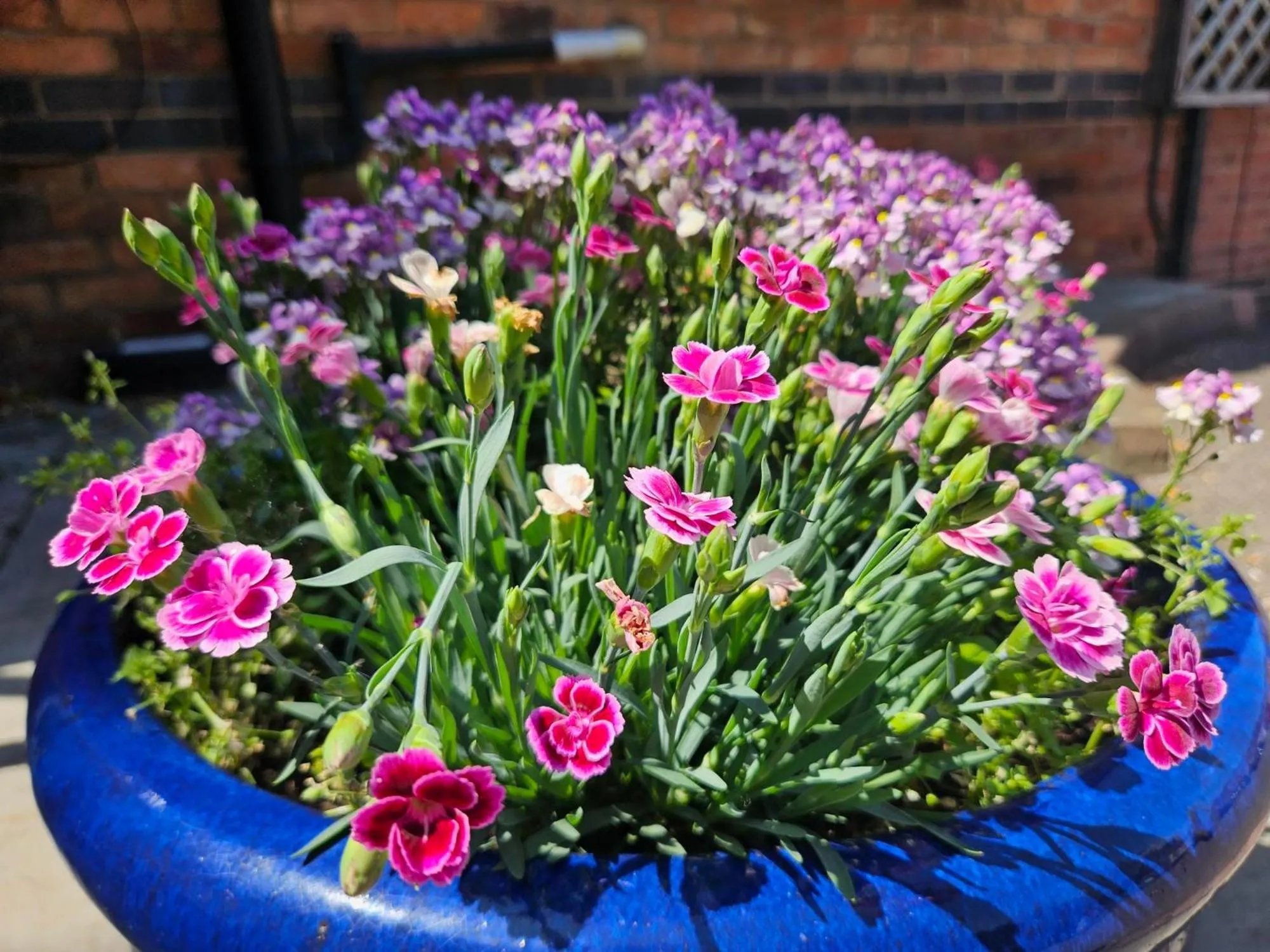 Property building in Belmont Hotel Leicester