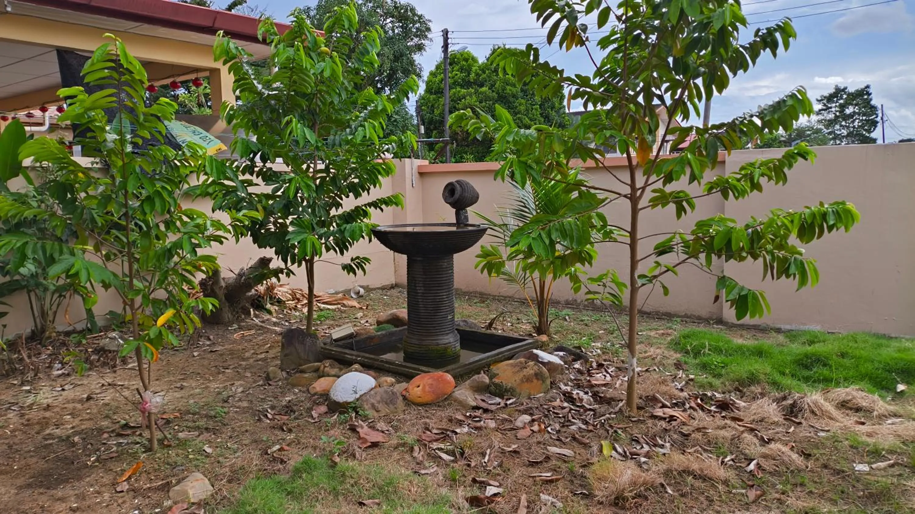 Garden view in Natol Homestay - London Foochow Road