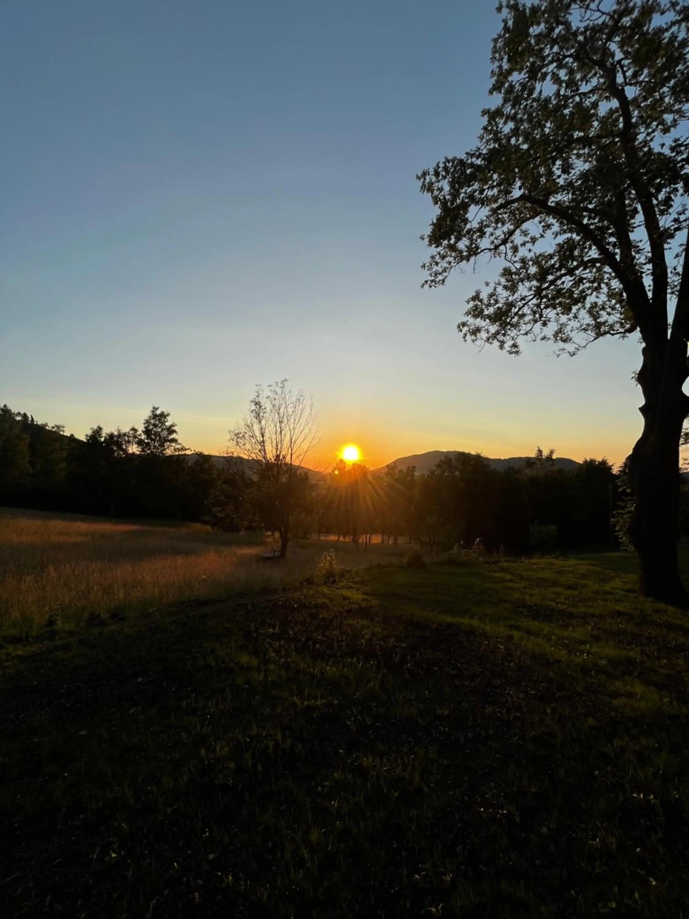 View (from property/room) in Apartmány v Beskydech
