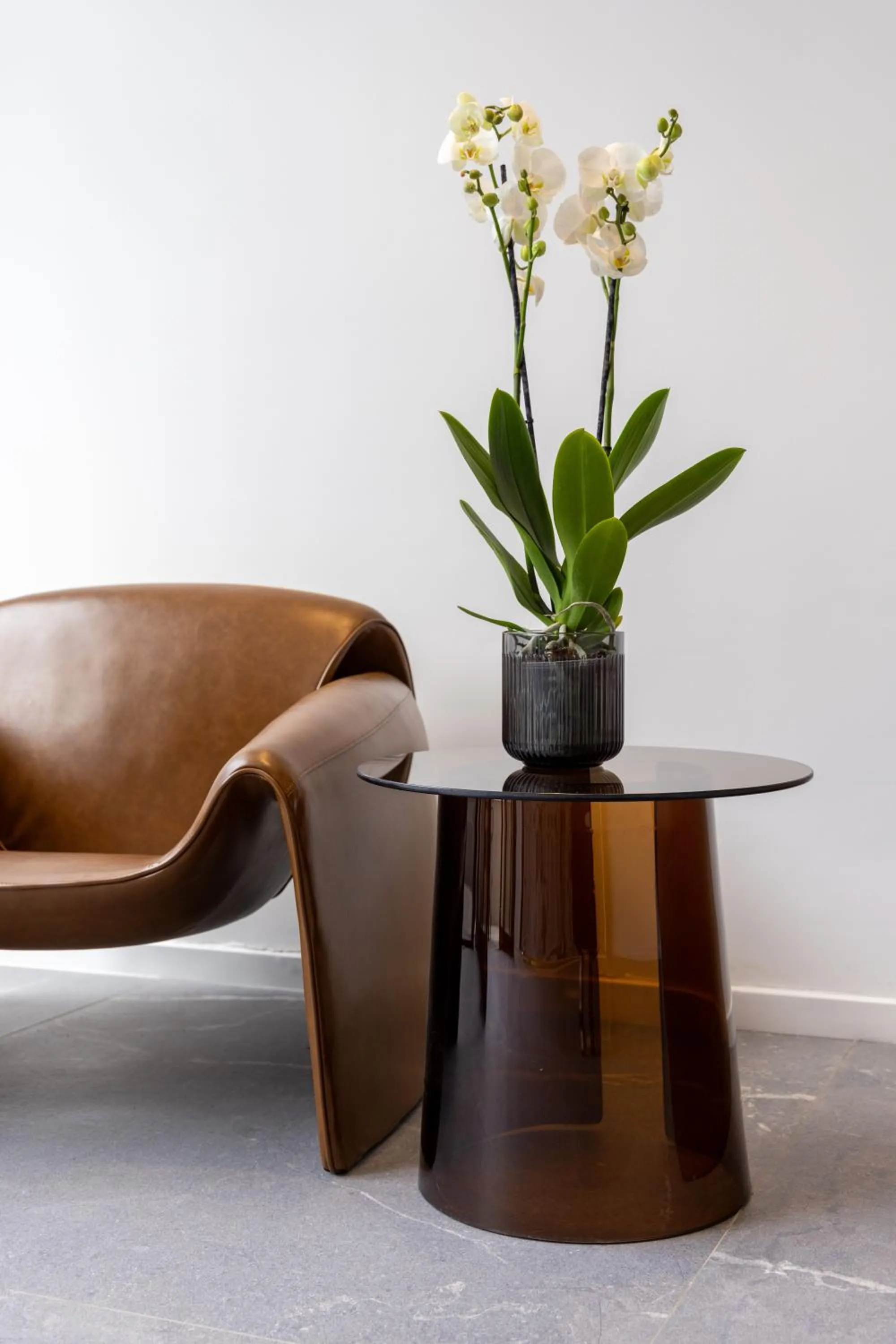 Living room in DIAGONAL HOTEL