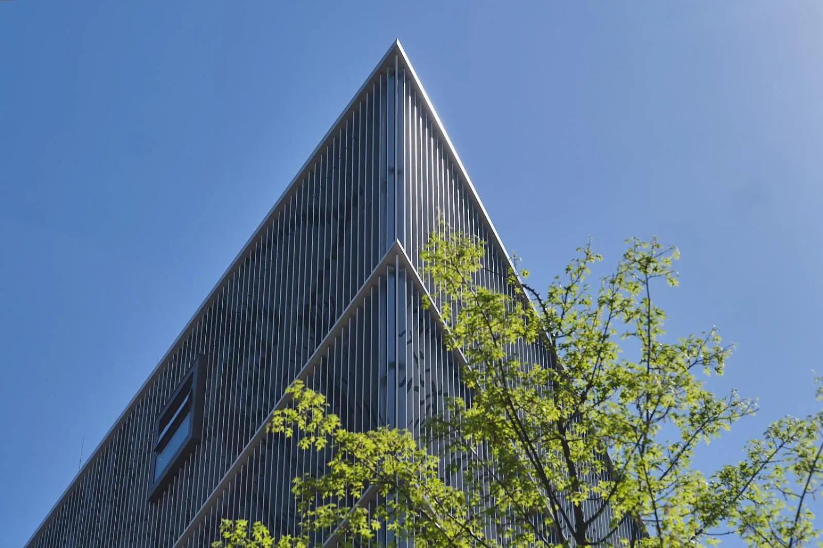 Property building in Villa Viva - ein Haus das Brunnen baut