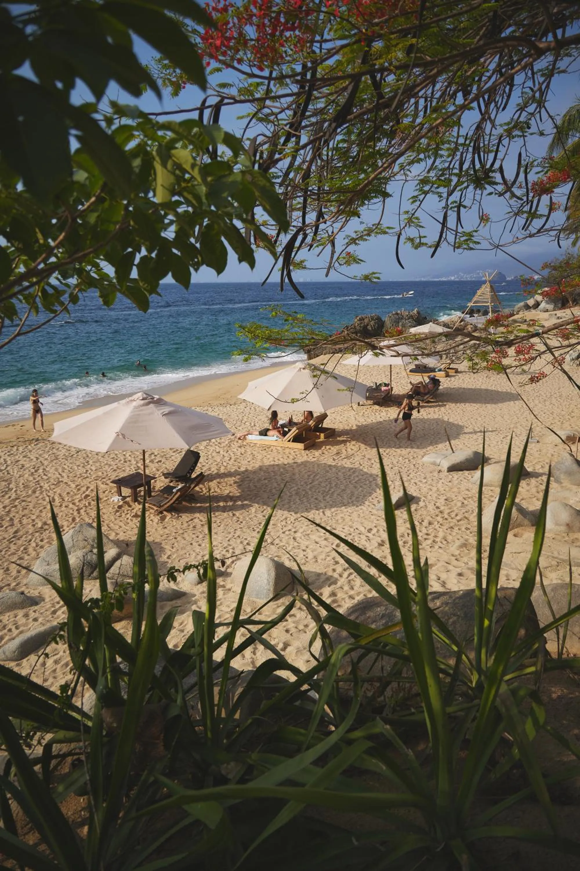 Natural landscape in CASITAS MARAIKA HOTEL & BEACH CLUB, Puerto Vallarta