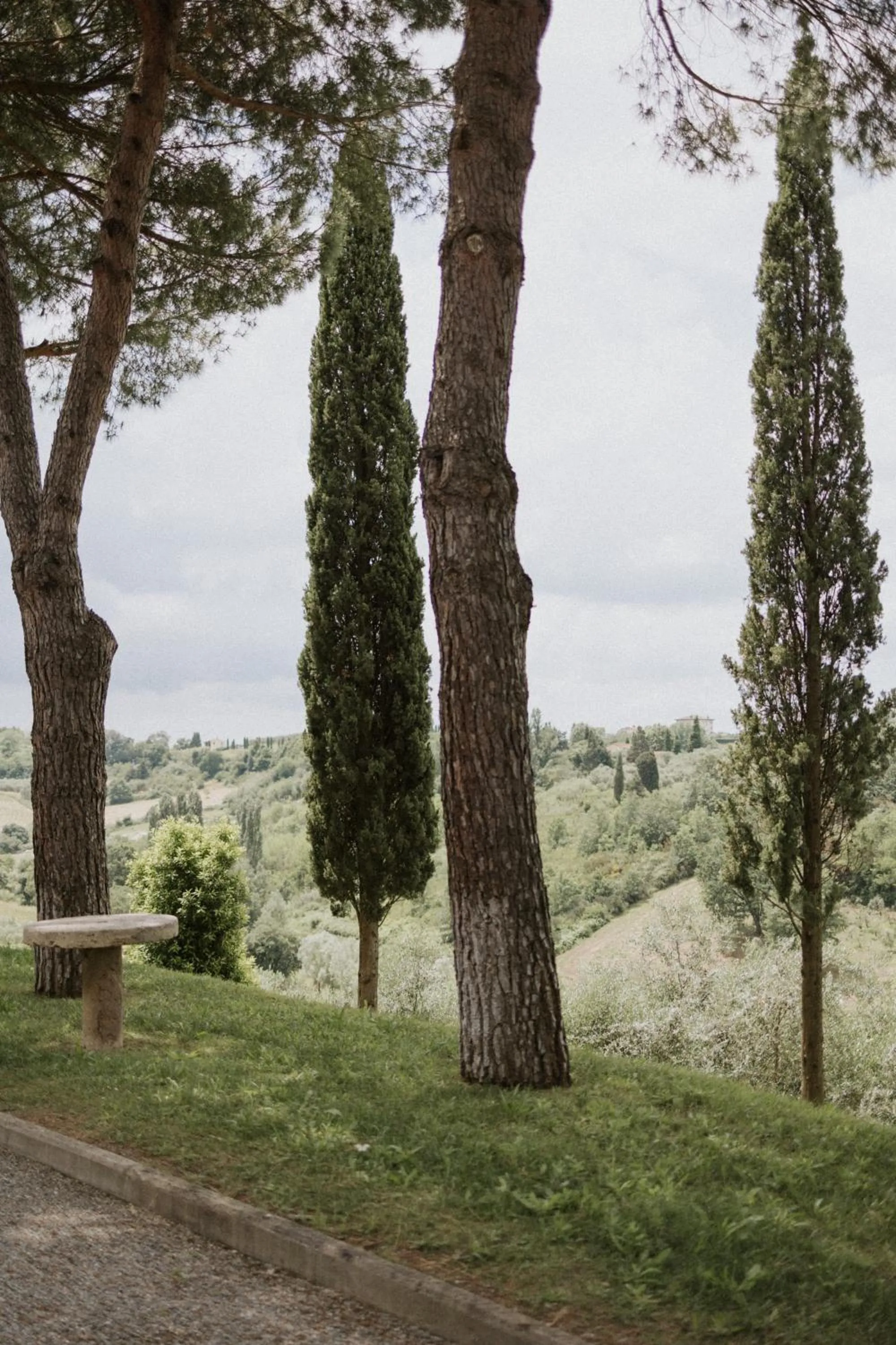 Natural landscape in Villa Delia Hotel and Cooking School