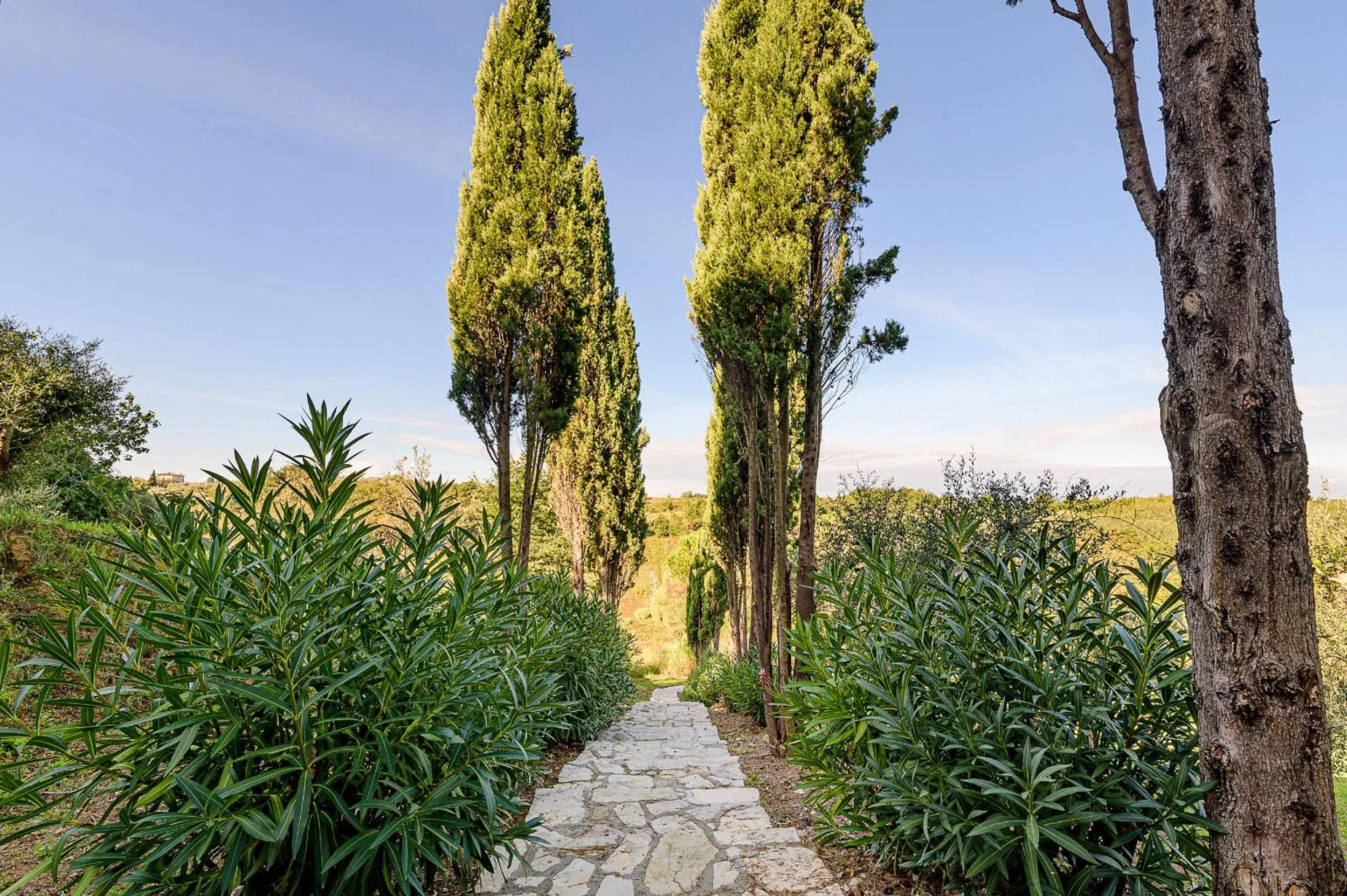 Villa Delia Hotel and Cooking School