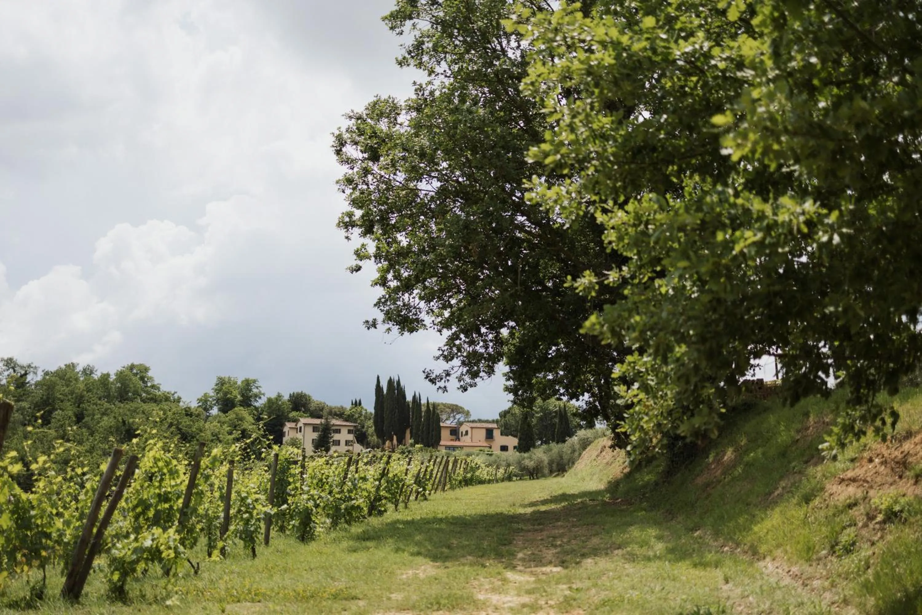 Garden view in Villa Delia Hotel and Cooking School