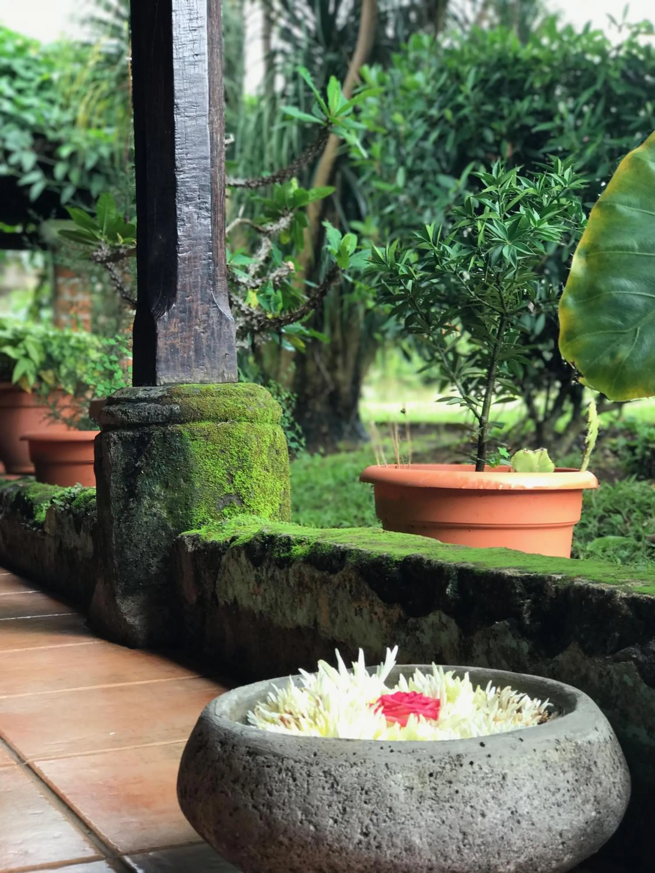 Casa Degraciela - Hotel Boutique