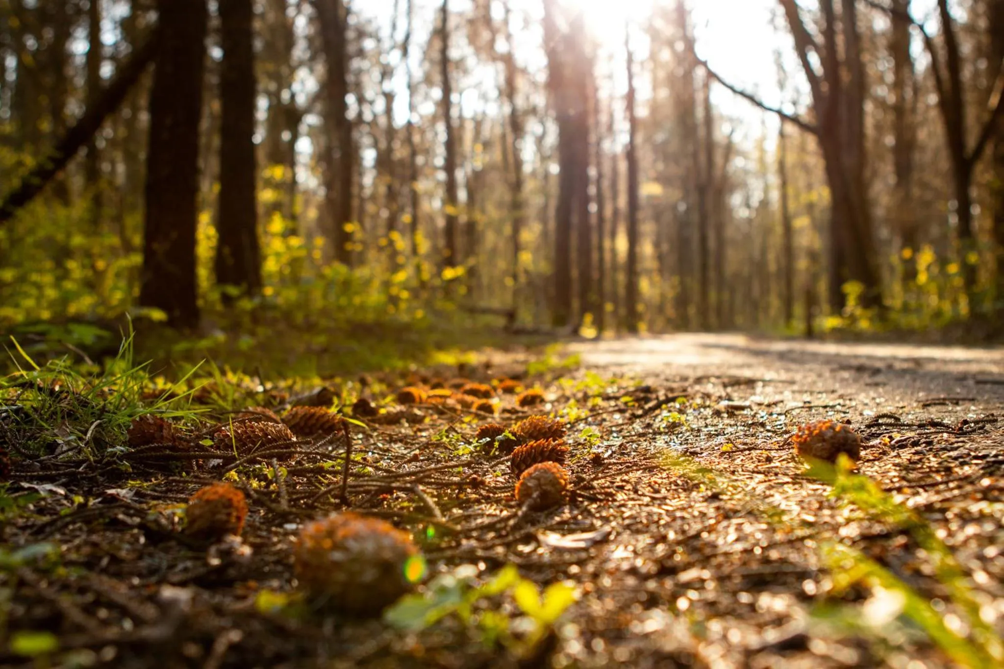Natural landscape in Grand Hotel Beatrix