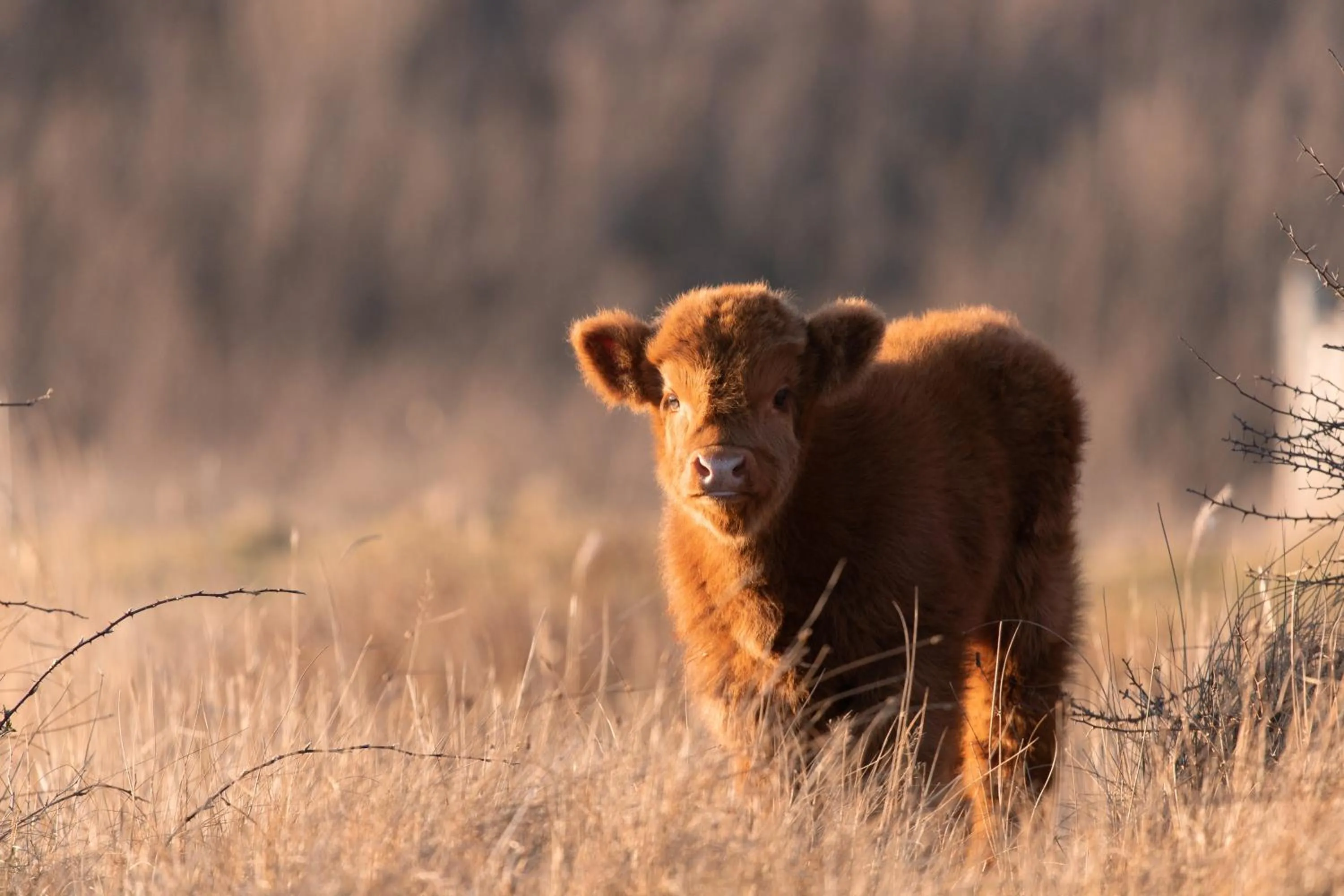 Natural landscape in Grand Hotel Beatrix