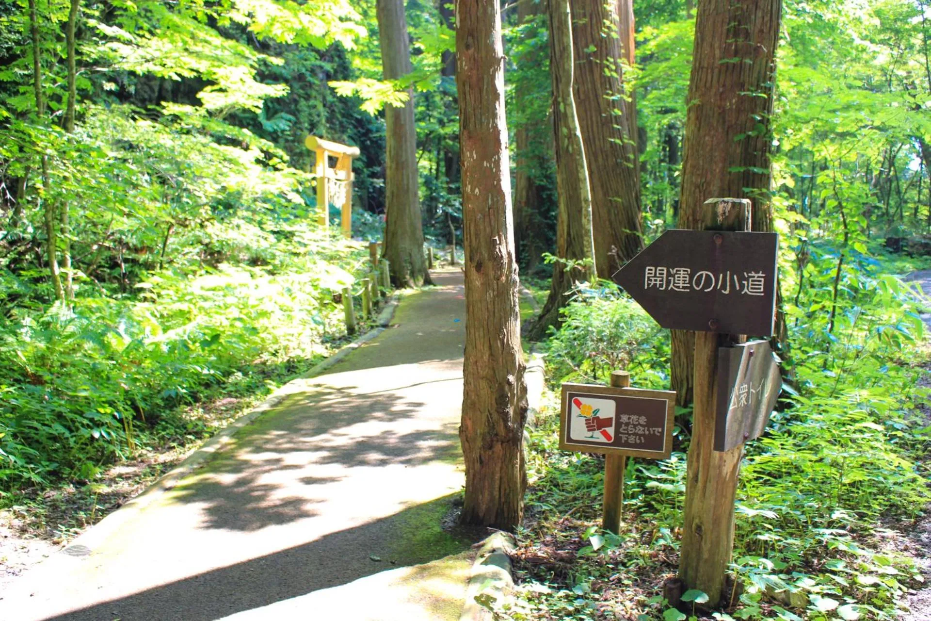 Towadako Lakeside Hotel