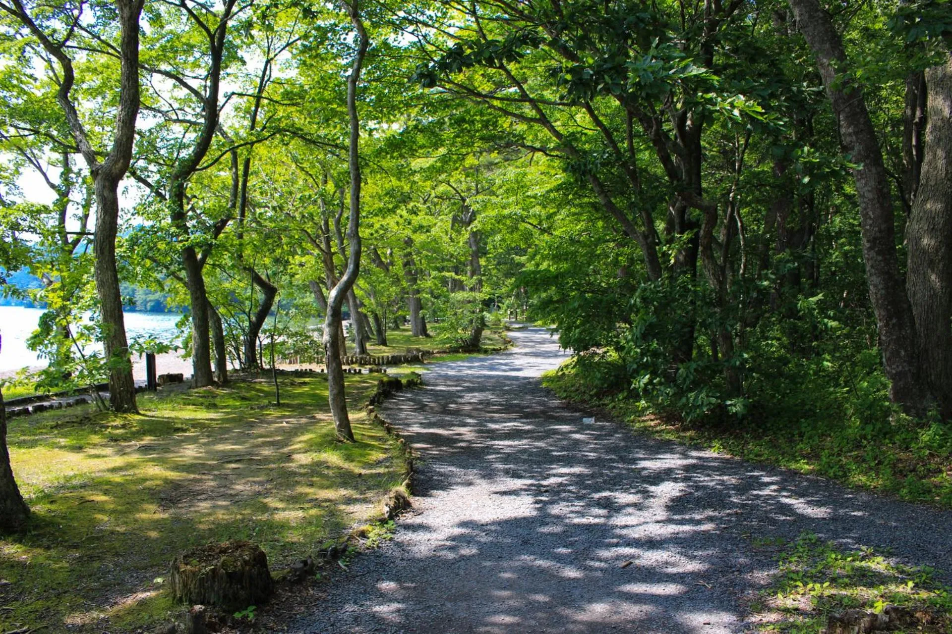 Towadako Lakeside Hotel