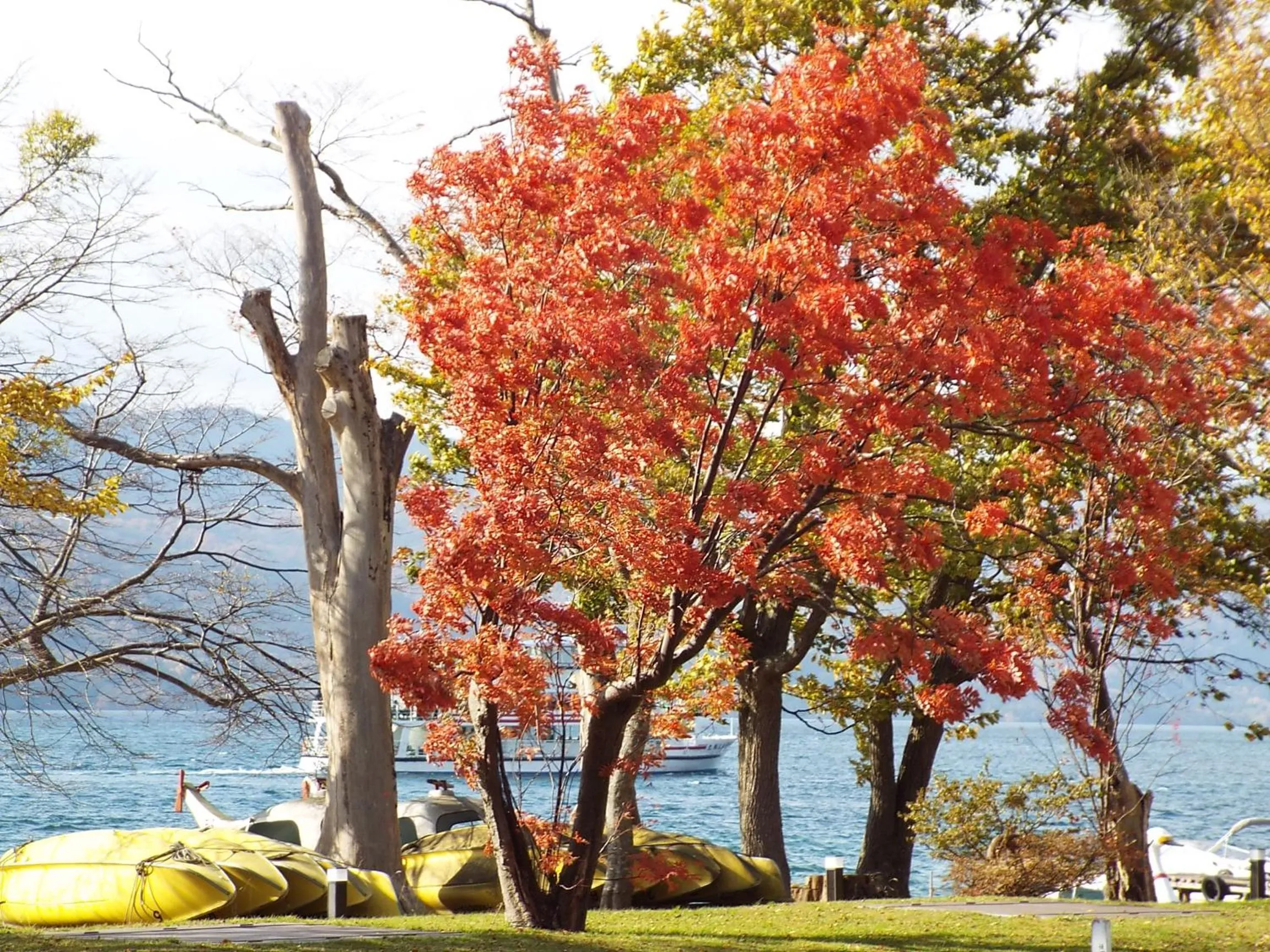 Day in Towadako Lakeside Hotel