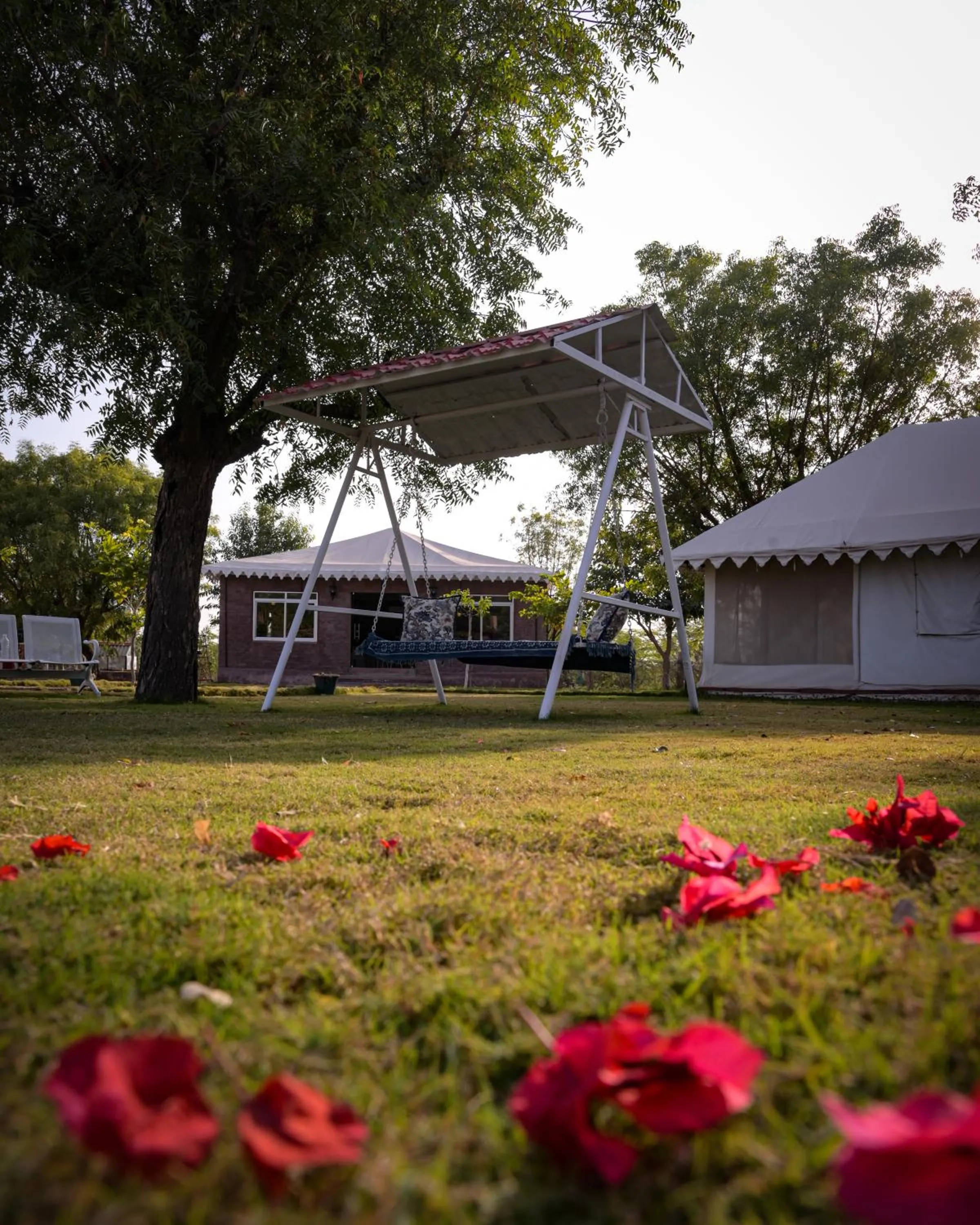Garden view in Impian Resorts - Jodhpur