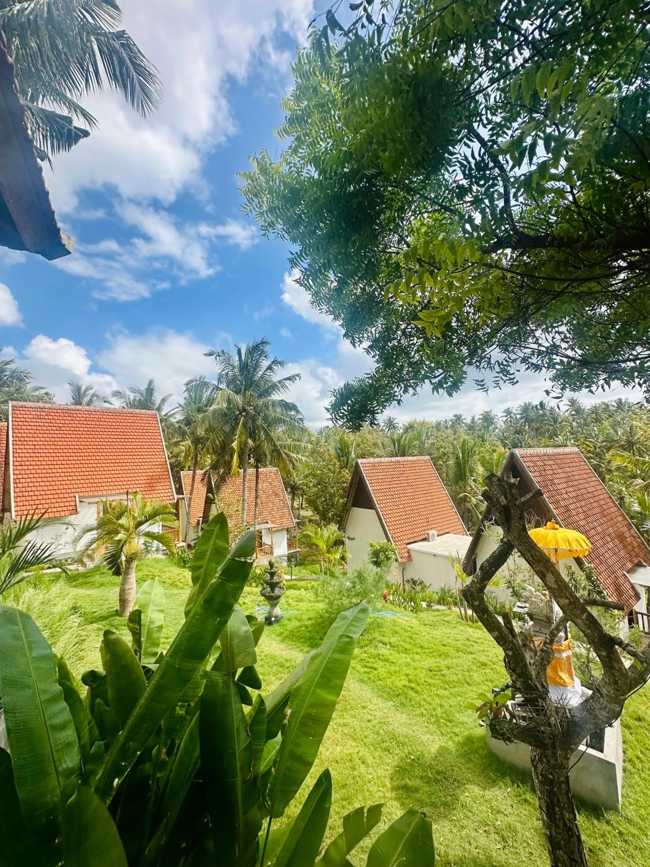 Garden in Green Coco Suite