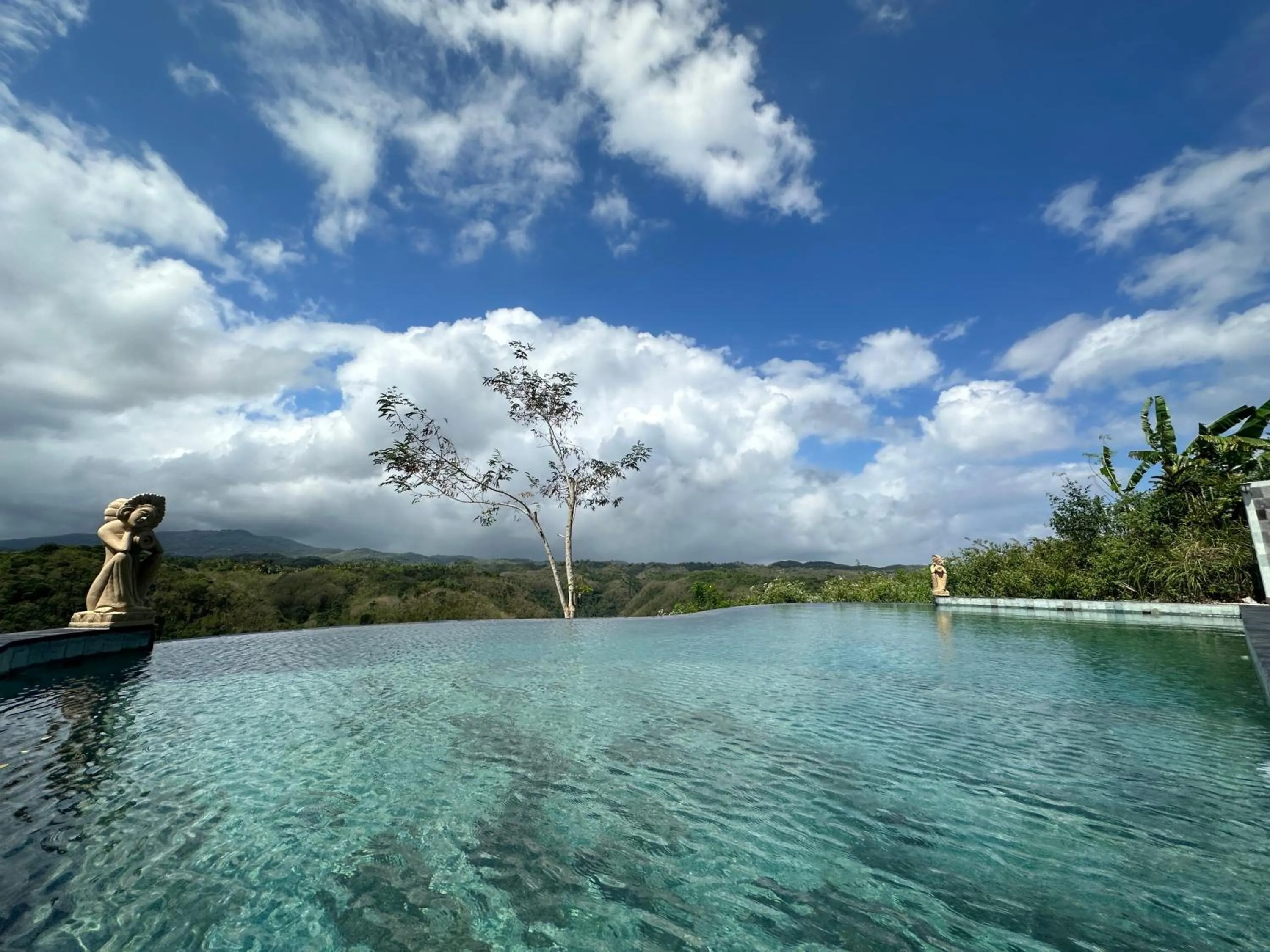 Day in Green Coco Suite