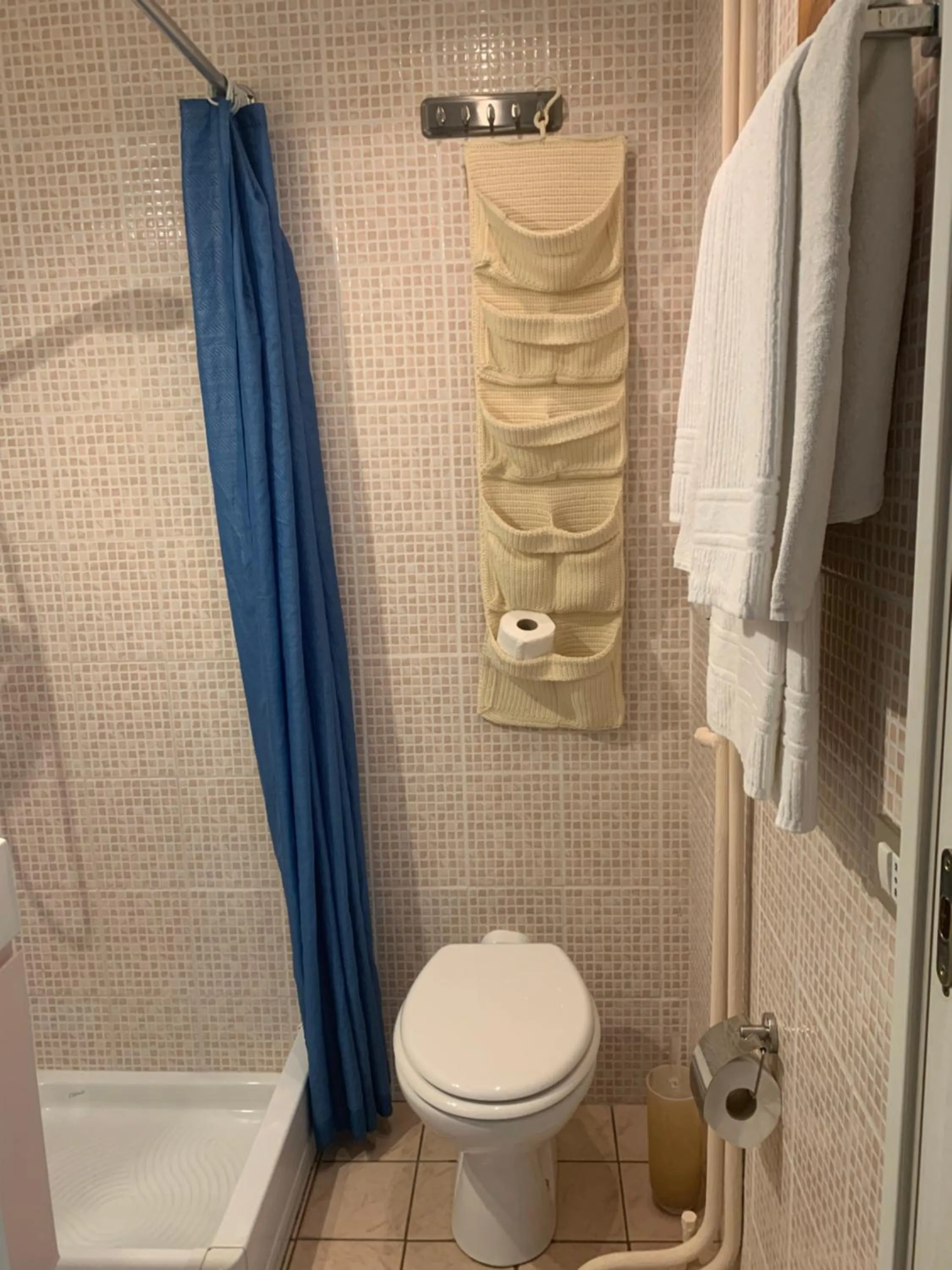 Toilet in B&B Le Ortensie -Lago di Como