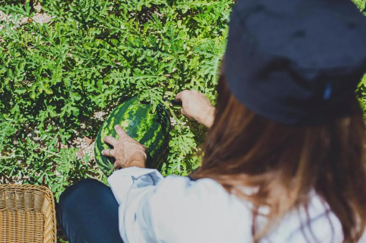 Latchi Escape Hotel and Suites