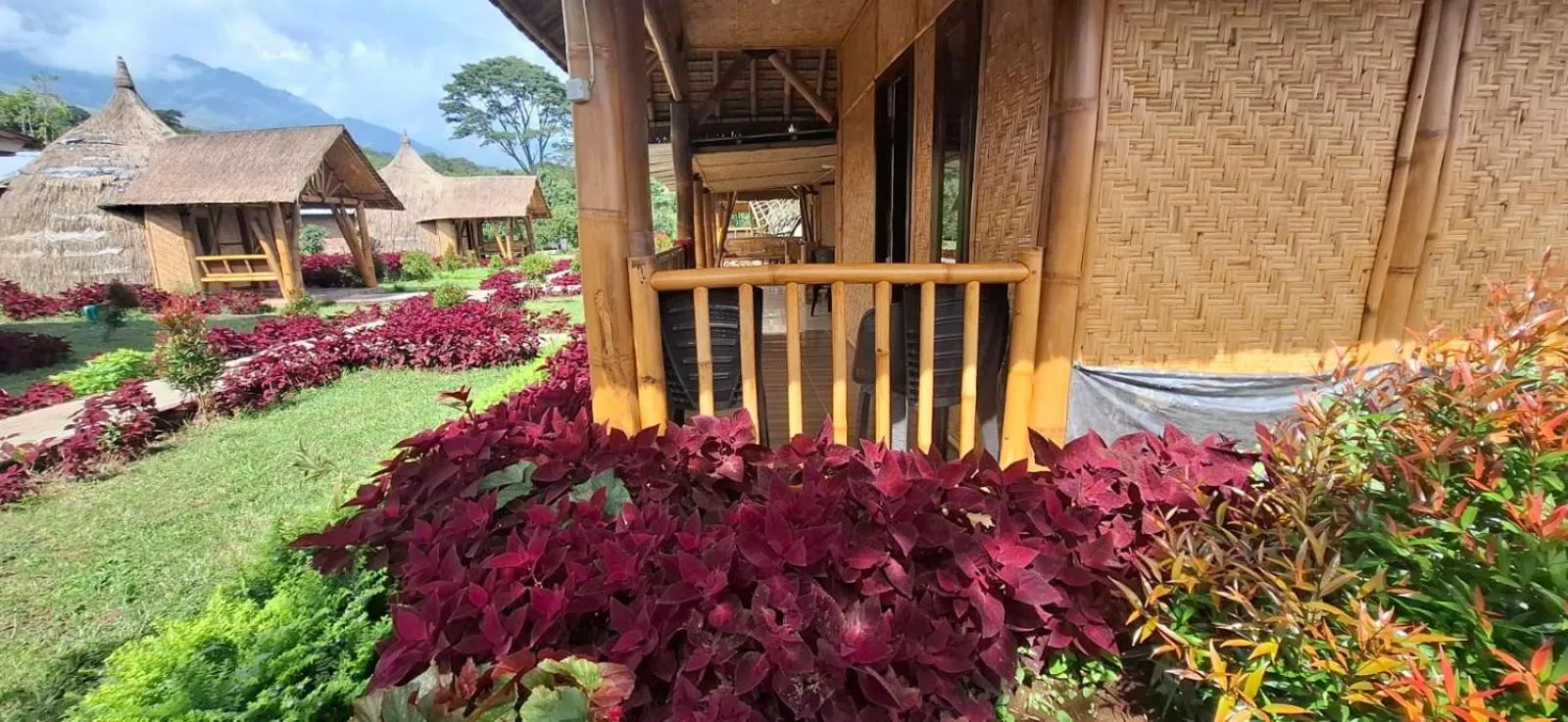 Garden view in Bale Gantar