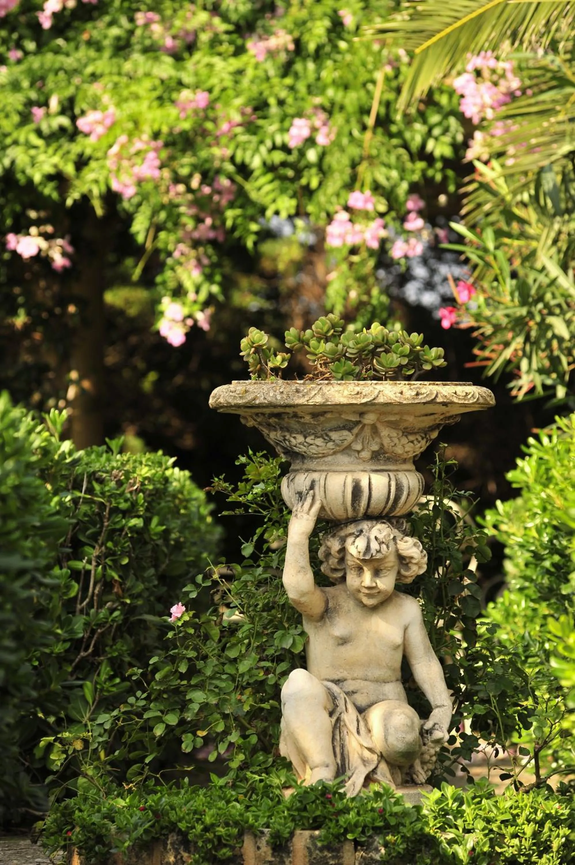 Garden in Hotel Rural Biniarroca - Adults Only