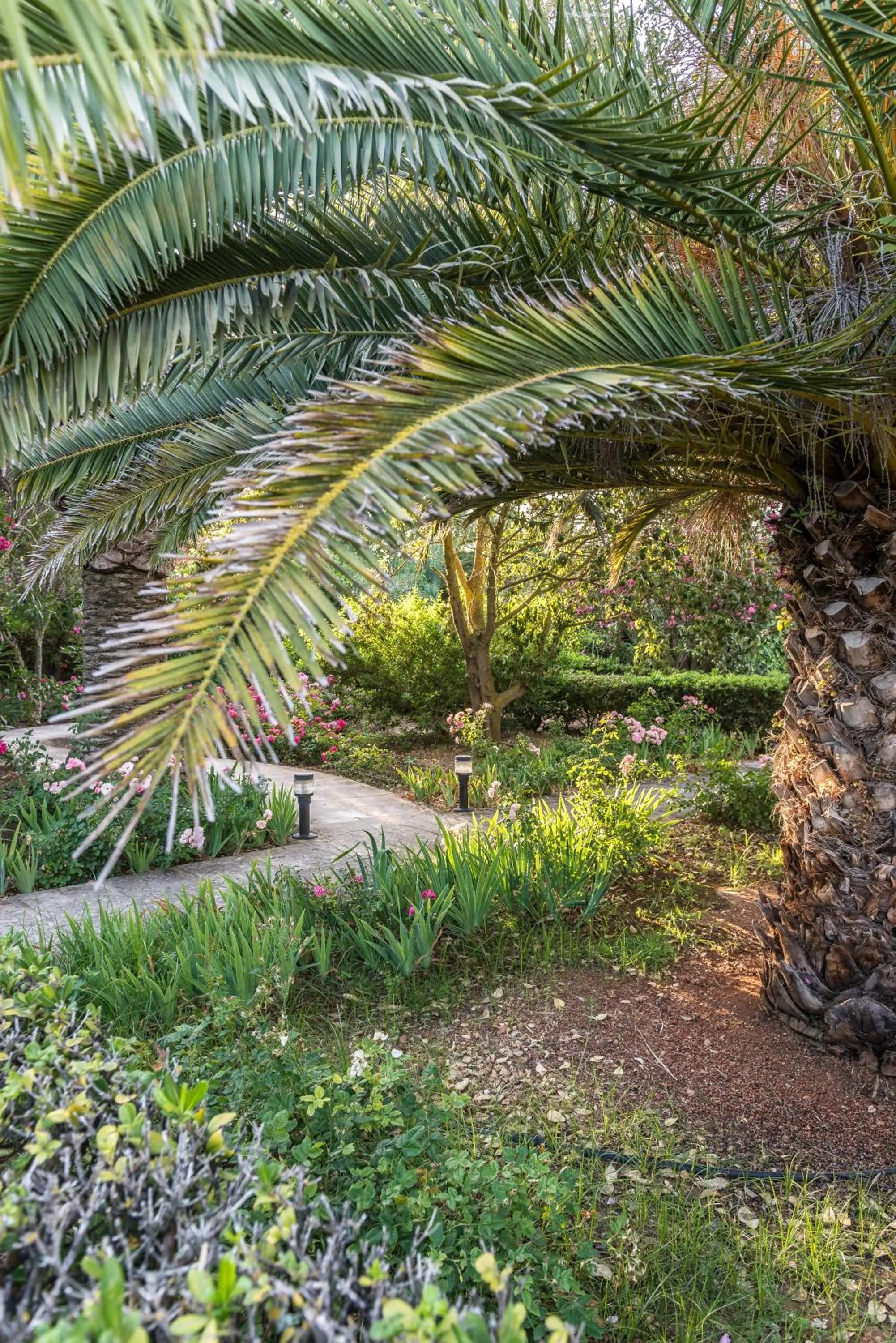 Garden in Hotel Rural Biniarroca - Adults Only