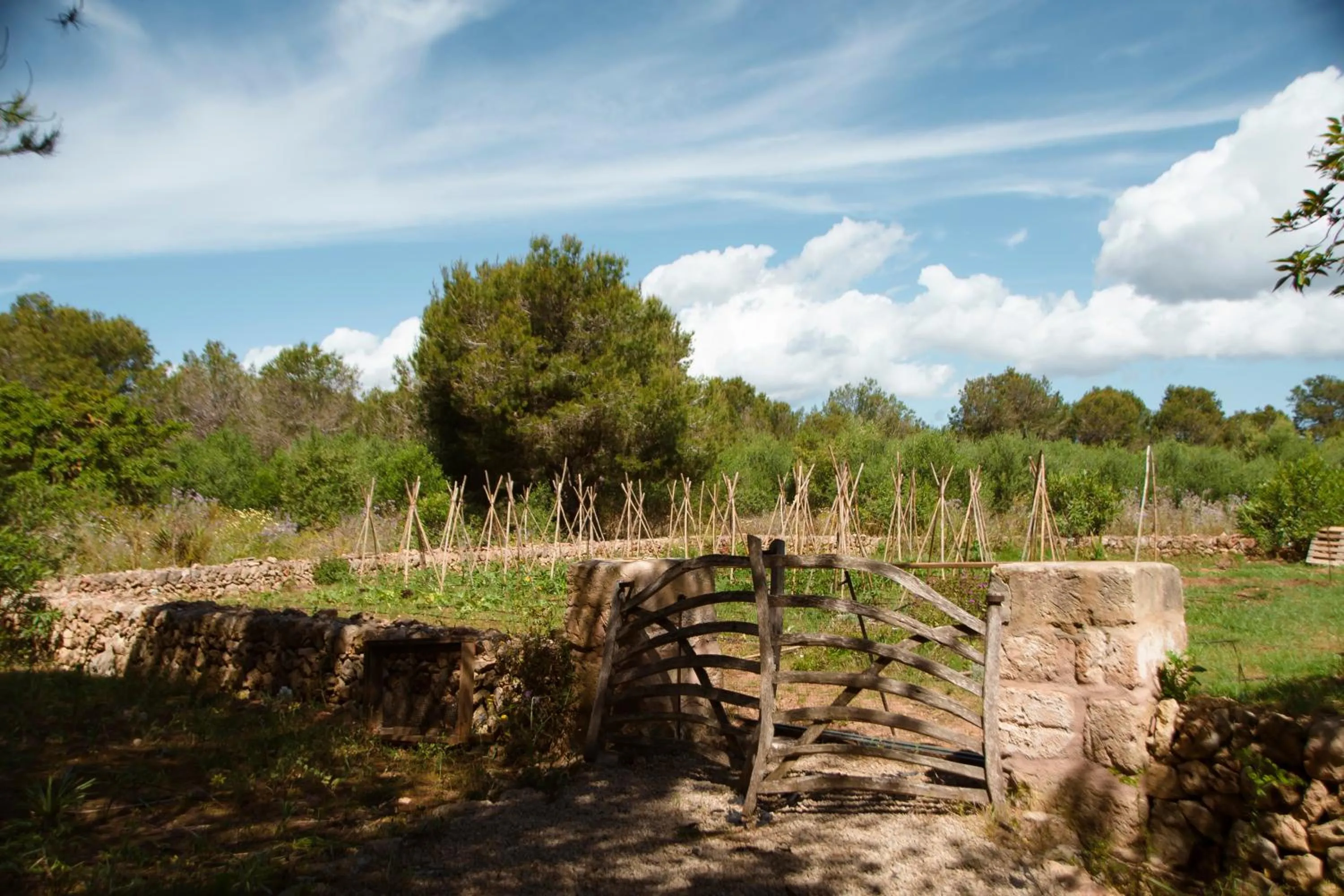 Property building in Hotel Rural Biniarroca - Adults Only