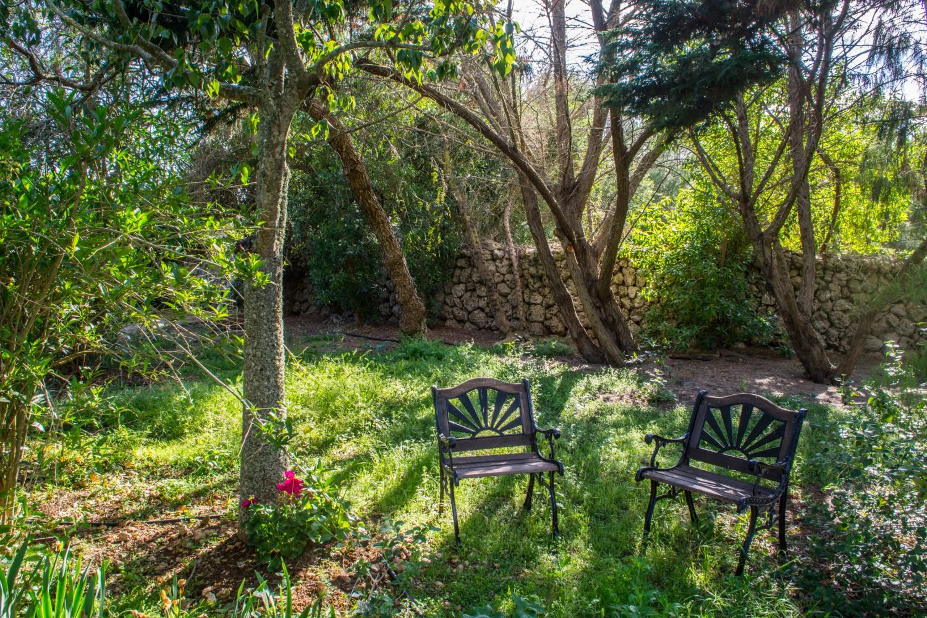 Garden in Hotel Rural Biniarroca - Adults Only