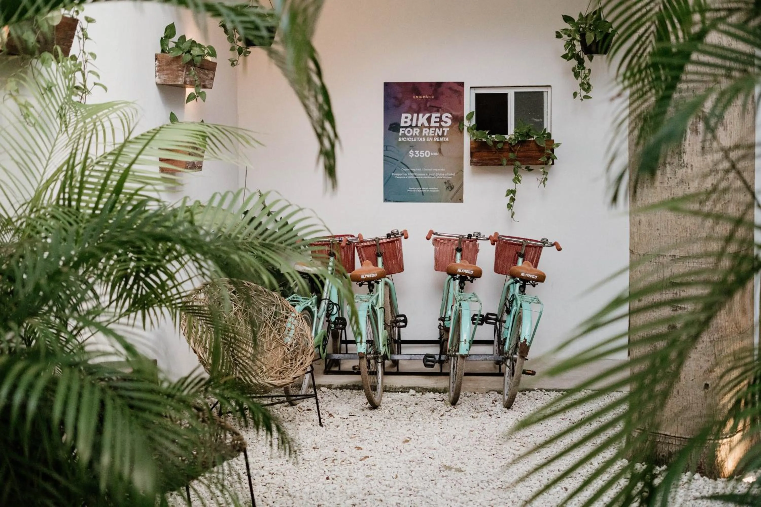 Cycling in Enigmatic Hotel Experience