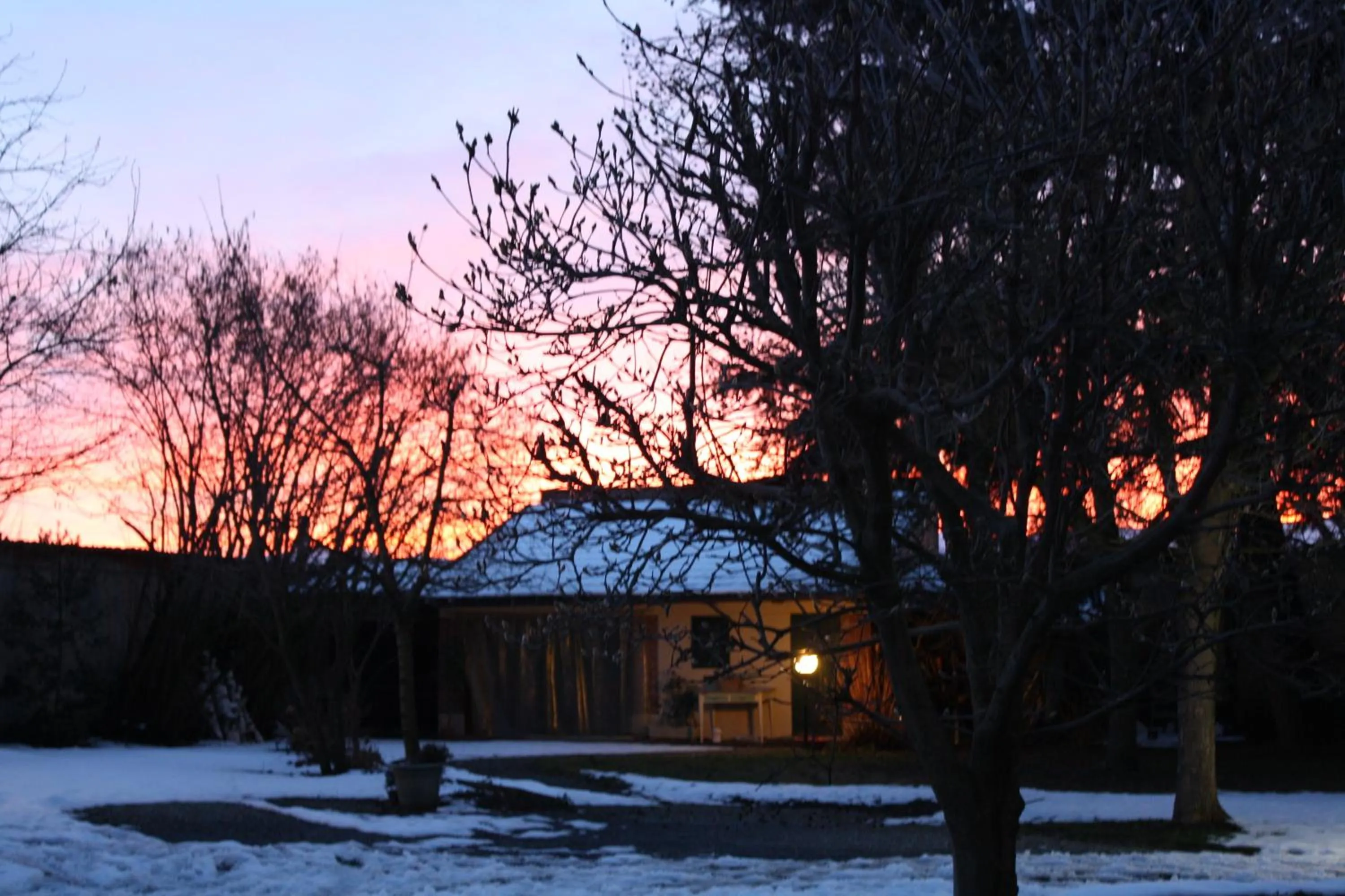 Natural landscape in B&B Villa Cardellini