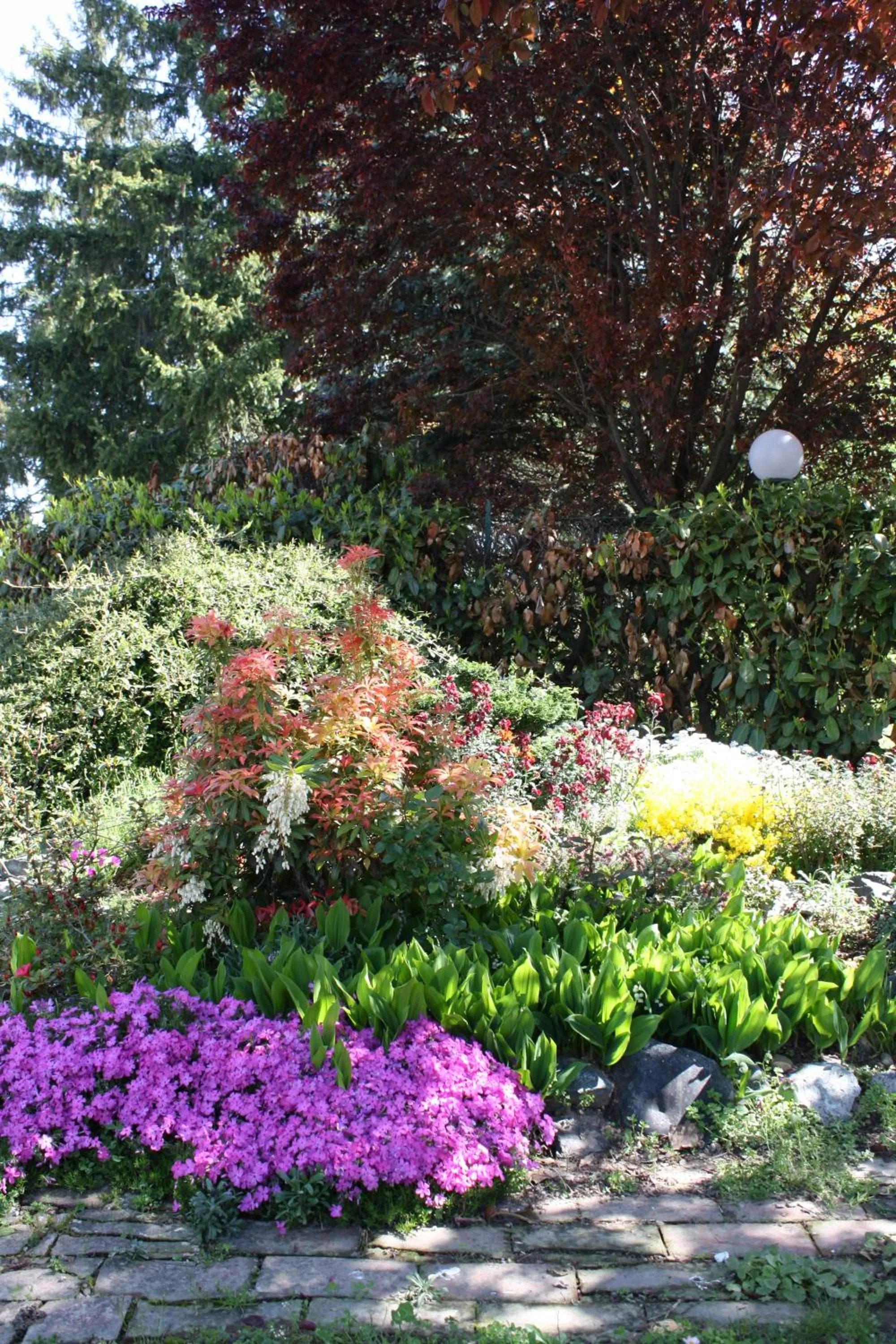 Garden in B&B Villa Cardellini