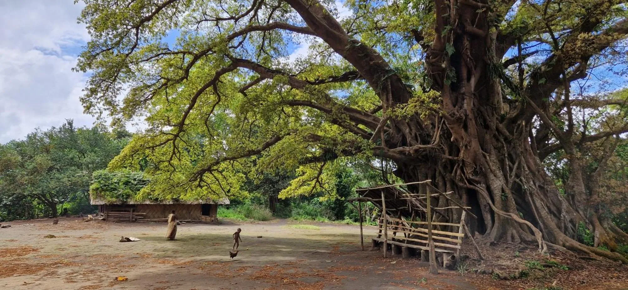 Tanna Lava View Bungalows