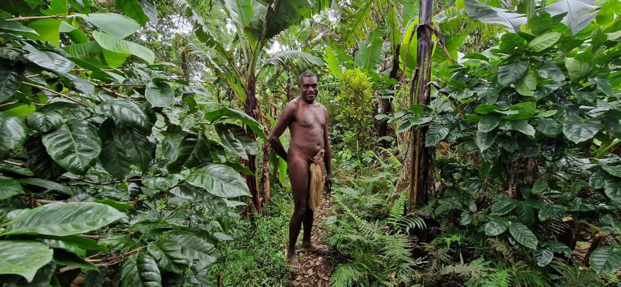 Tanna Lava View Bungalows