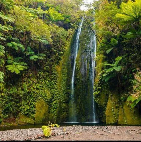 Tanna Lava View Bungalows